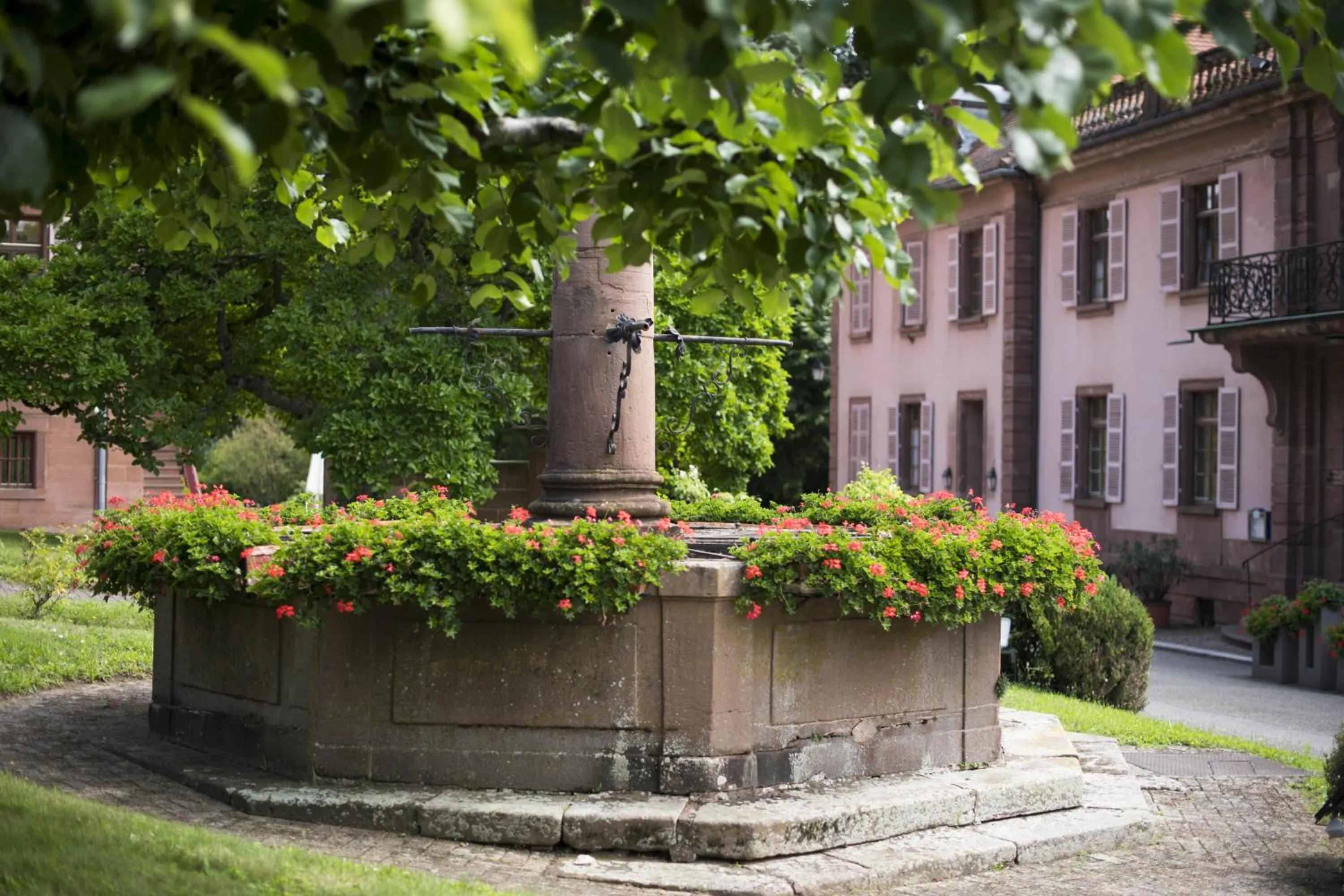 Garden in Hôtellerie du Couvent Oberbronn