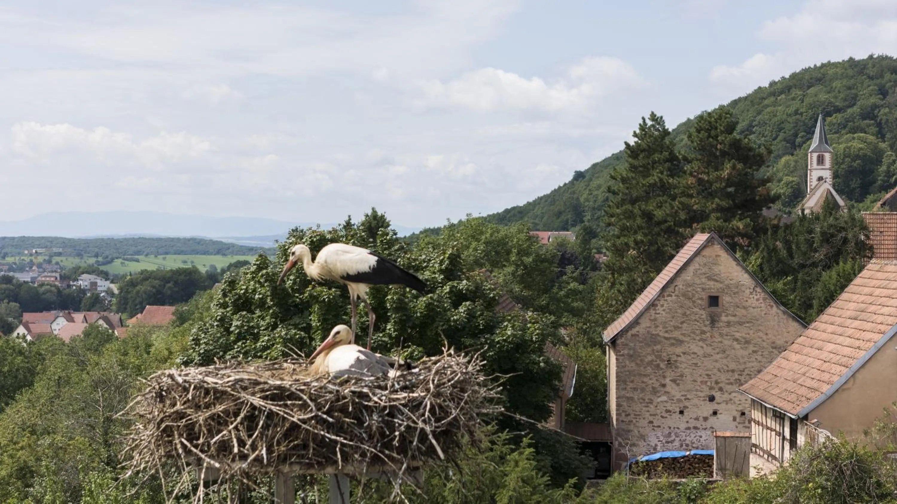 City view in Hôtellerie du Couvent Oberbronn