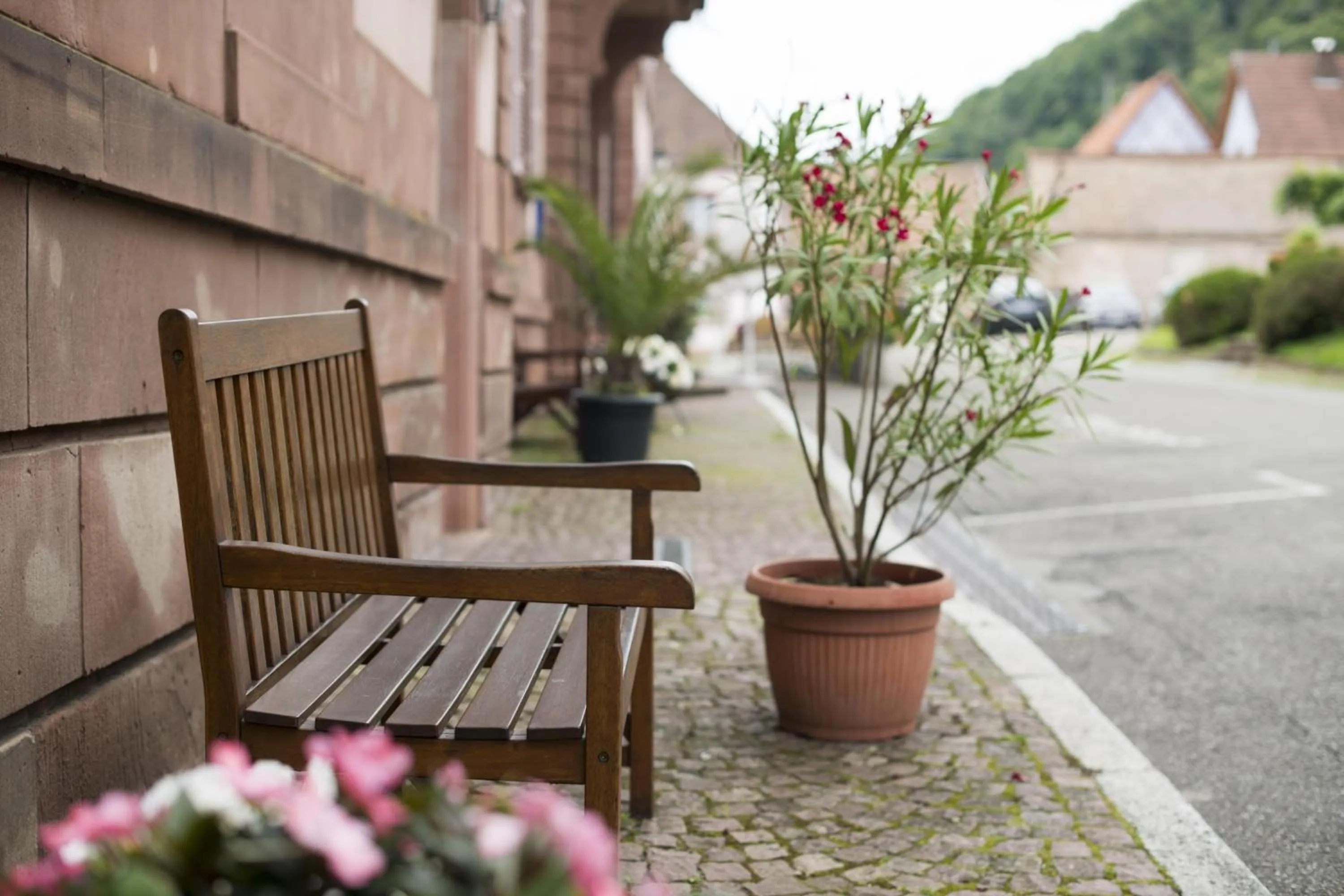 Garden in Hôtellerie du Couvent Oberbronn