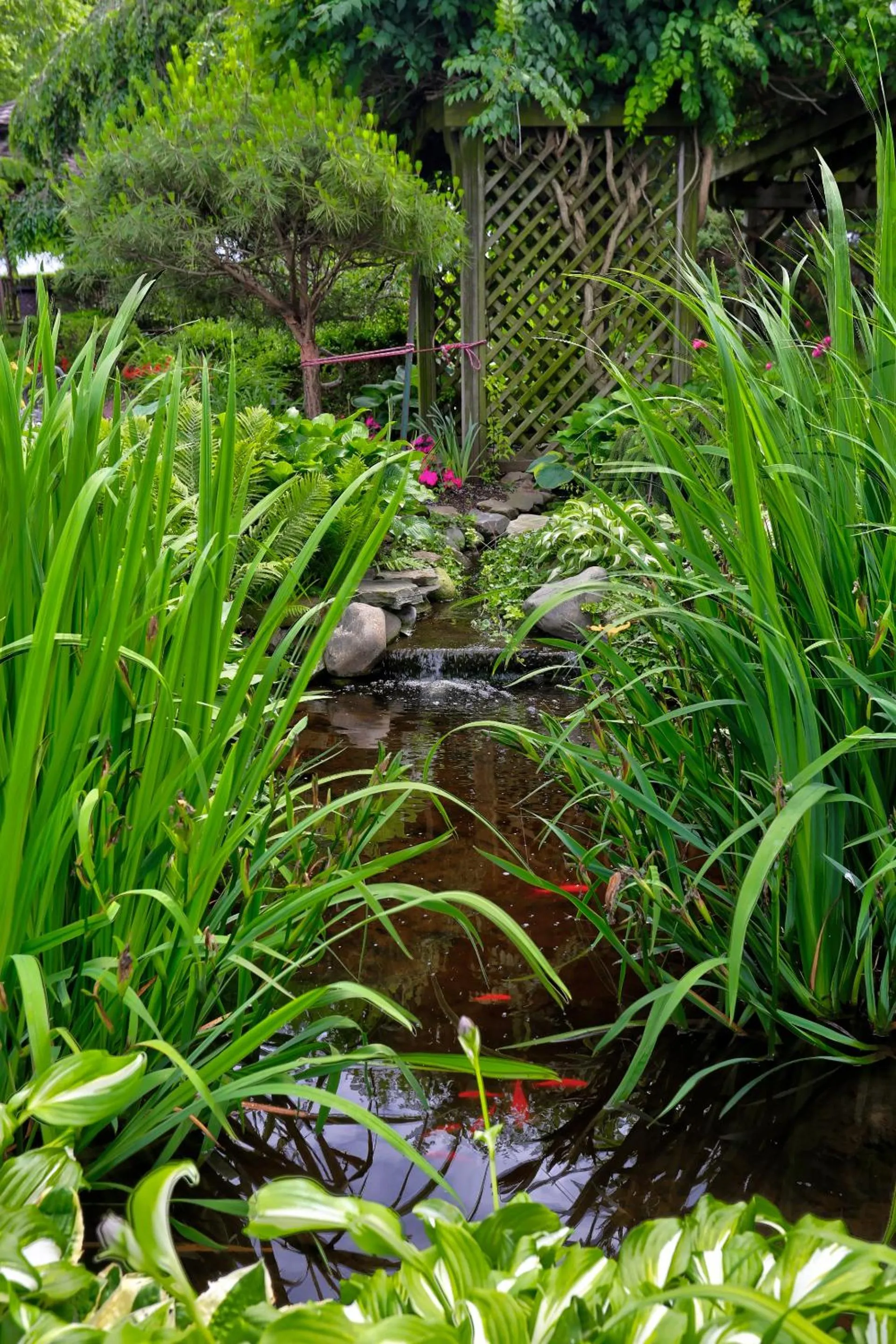 Garden in Greystone Manor Bed & Breakfast