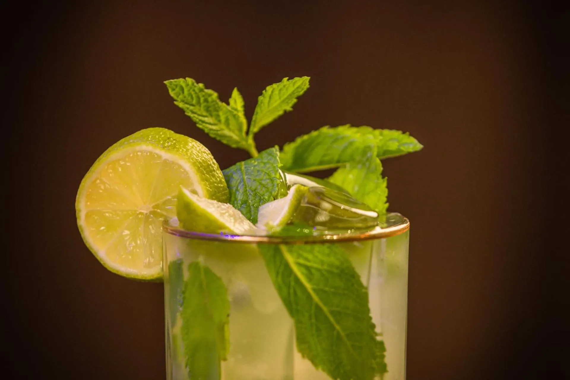 Lounge or bar in Boutique Hotel Planlim