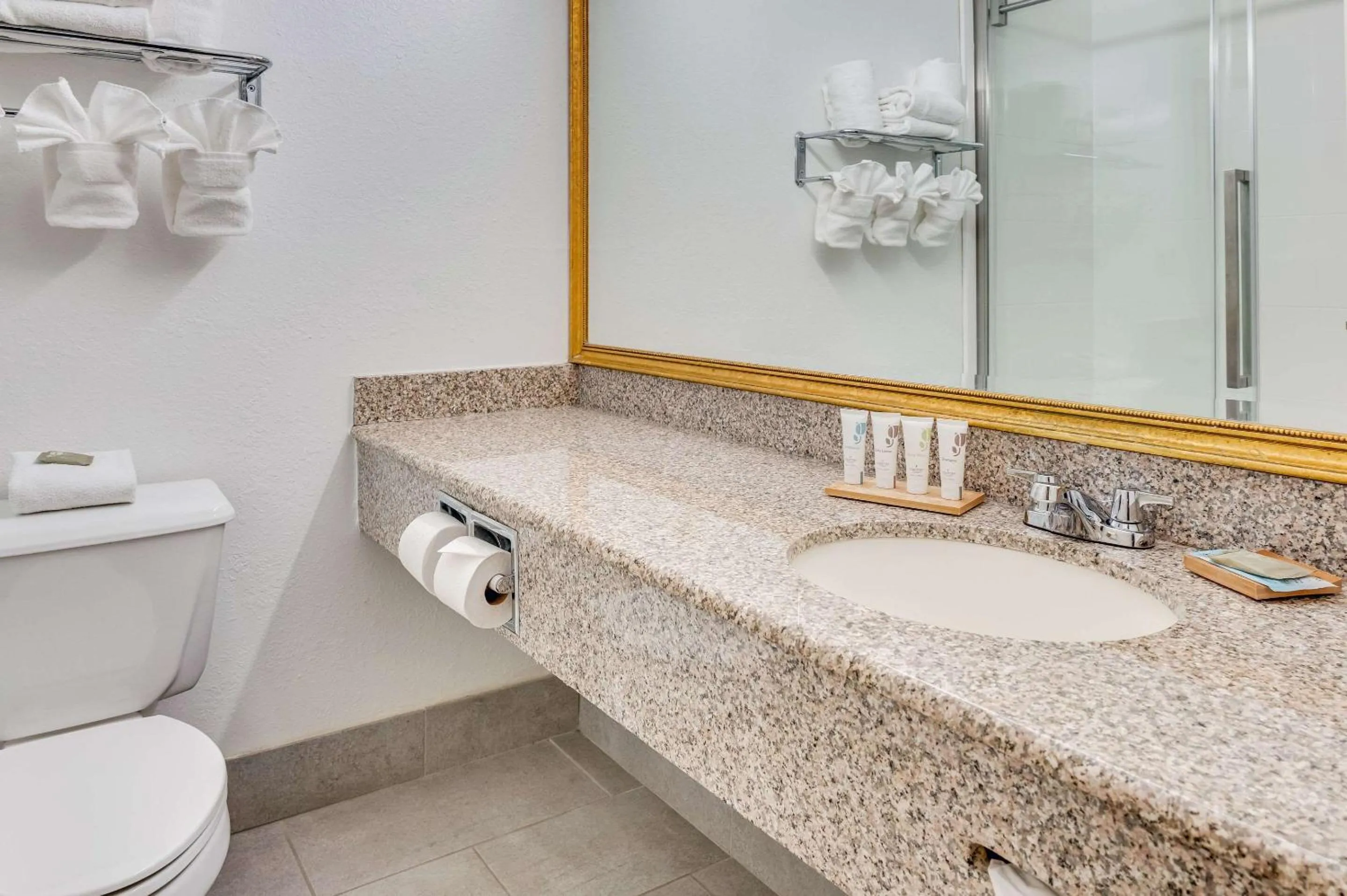 Bedroom in Country Inn & Suites by Radisson, Grand Rapids Airport, MI