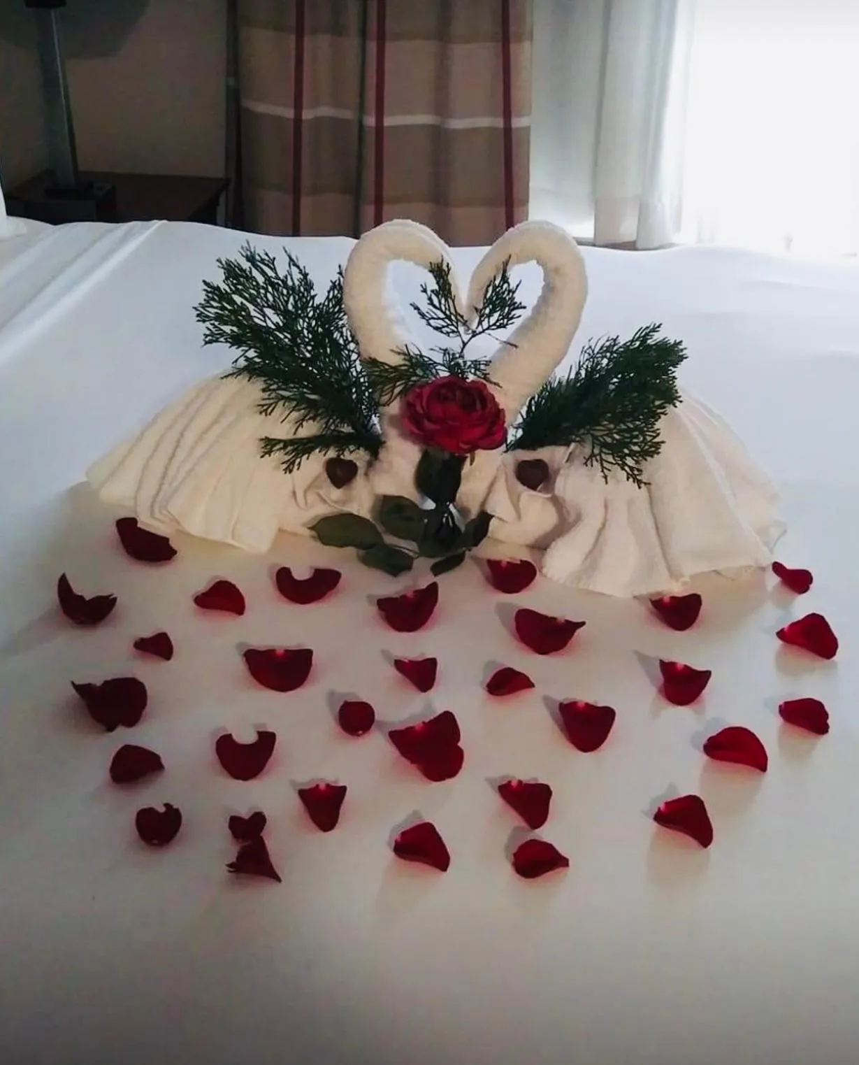 On site in Country Inn & Suites by Radisson, Grand Rapids Airport, MI