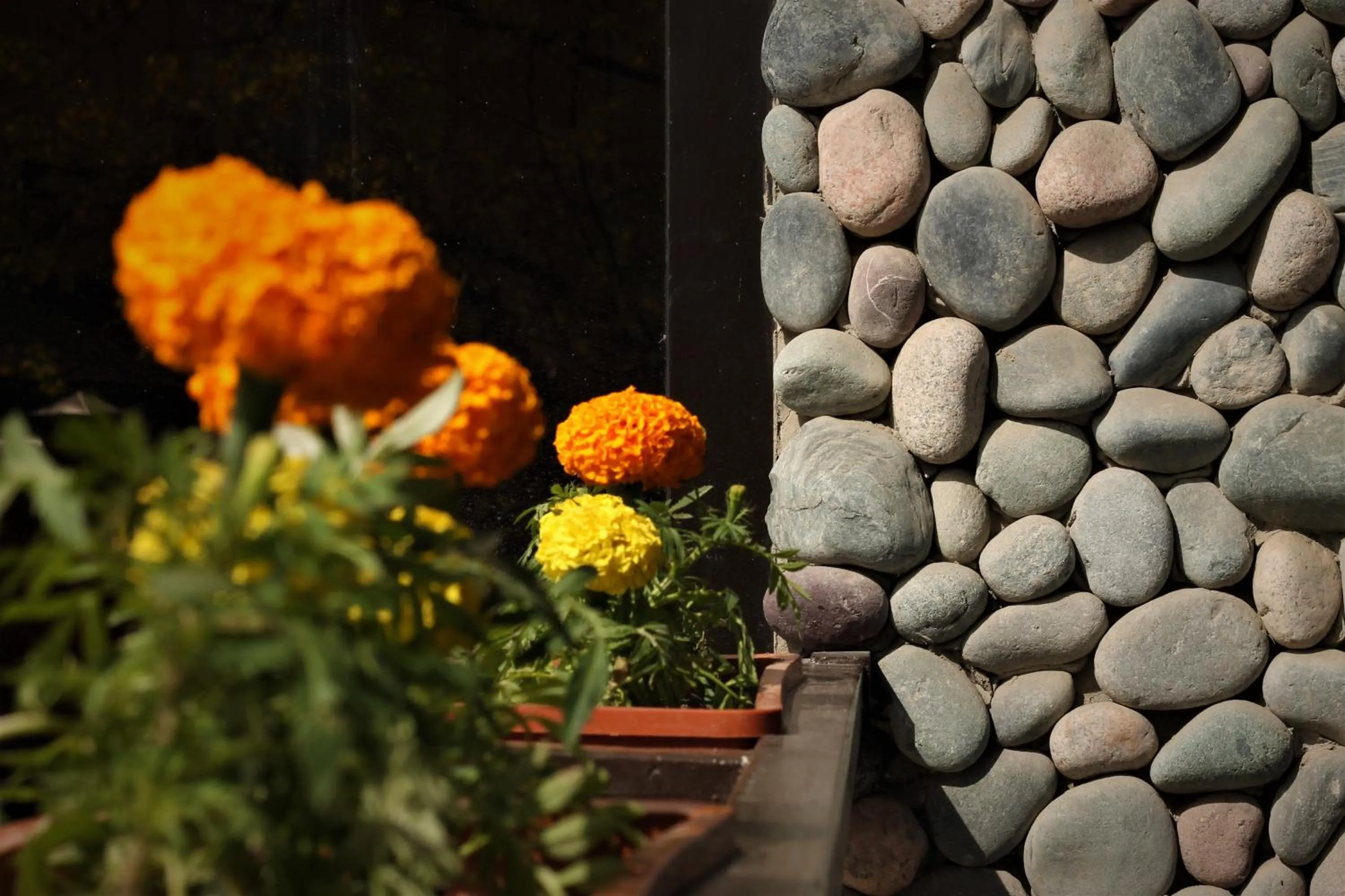 Lobby or reception in Olive Hotel Bishkek