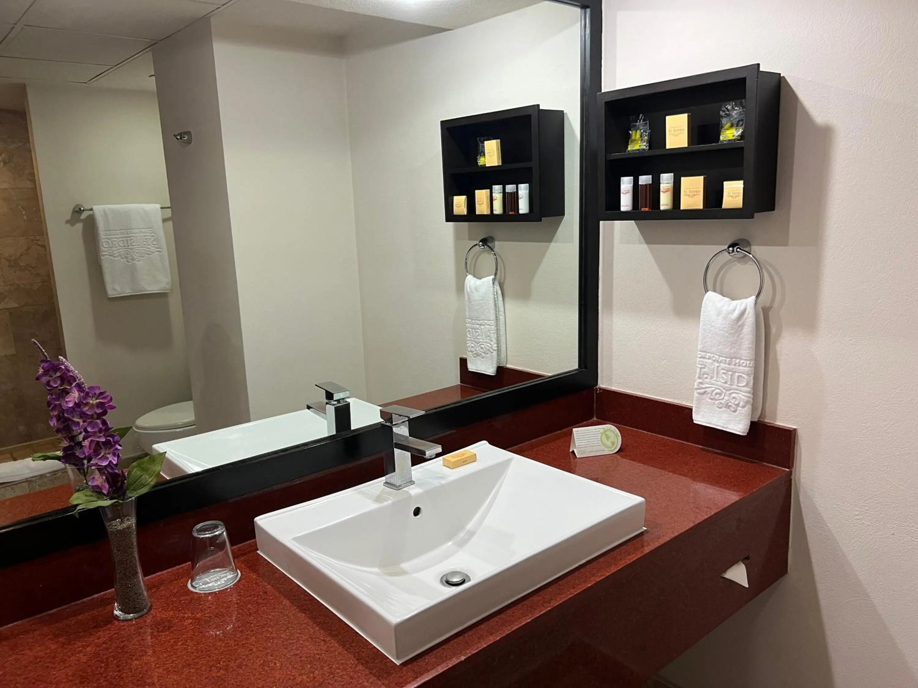 Bathroom in St Isidro Suites Corporate Housing SPA & Wellness Center