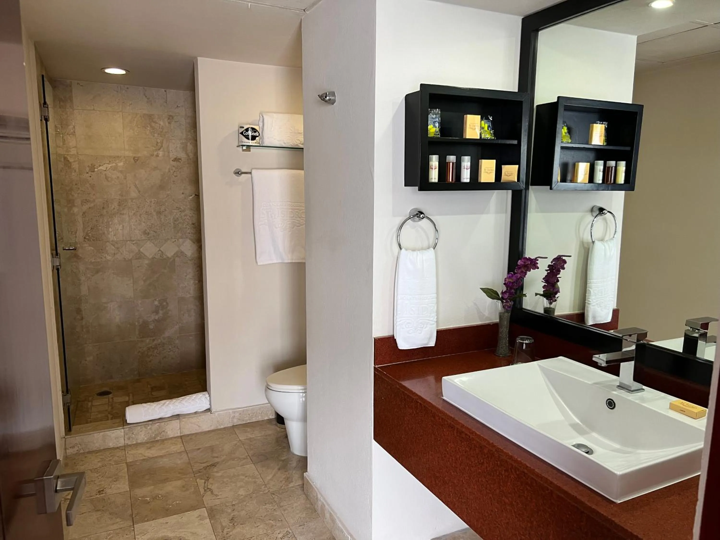 Bathroom in St Isidro Suites Corporate Housing SPA & Wellness Center