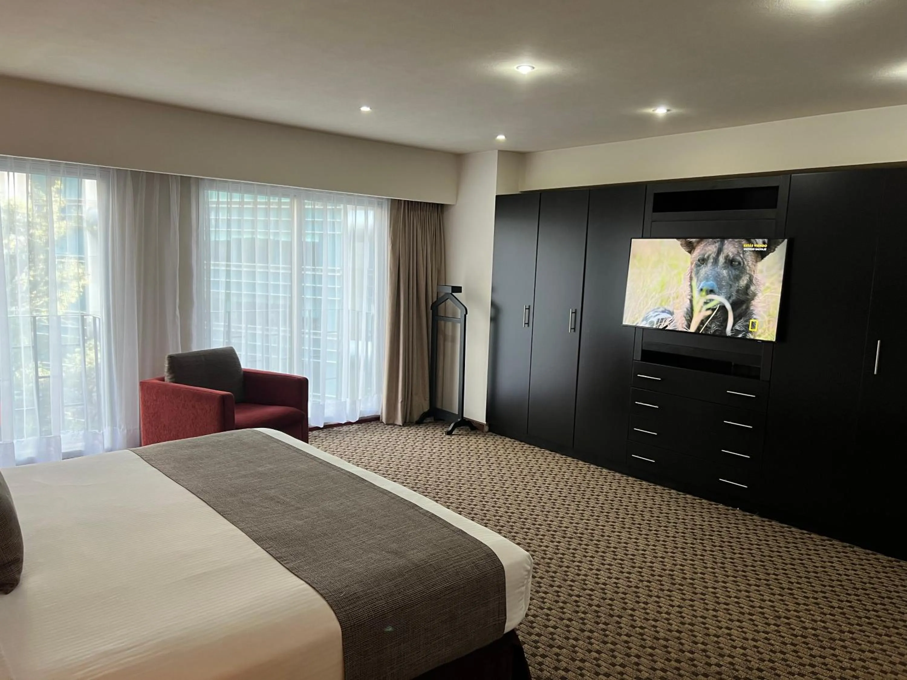 Bed in St Isidro Suites Corporate Housing SPA & Wellness Center