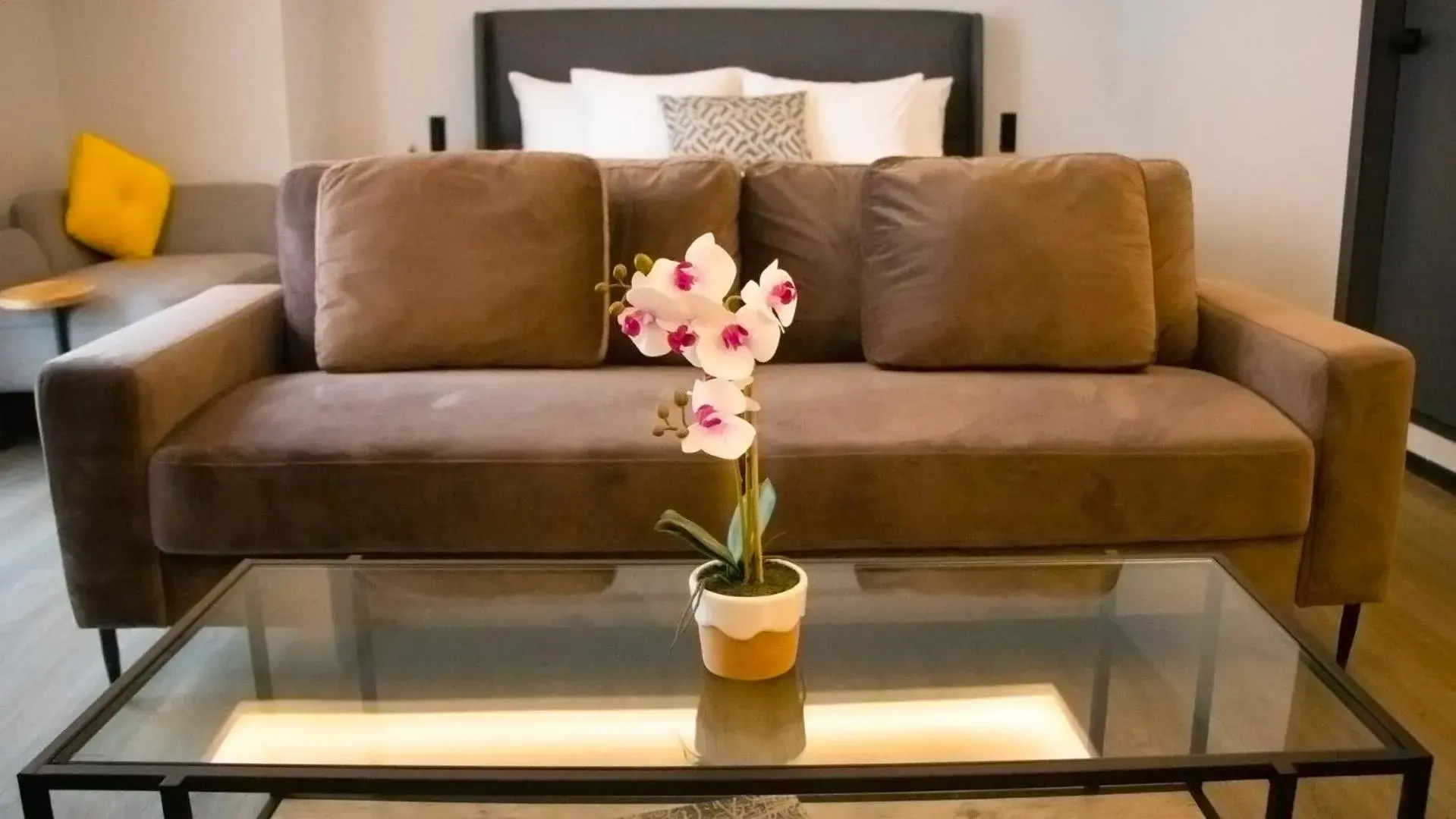 Standard Suite in St Isidro Suites Corporate Housing SPA & Wellness Center Standard Suite in St Isidro Suites Corporate Housing SPA & Wellness Center