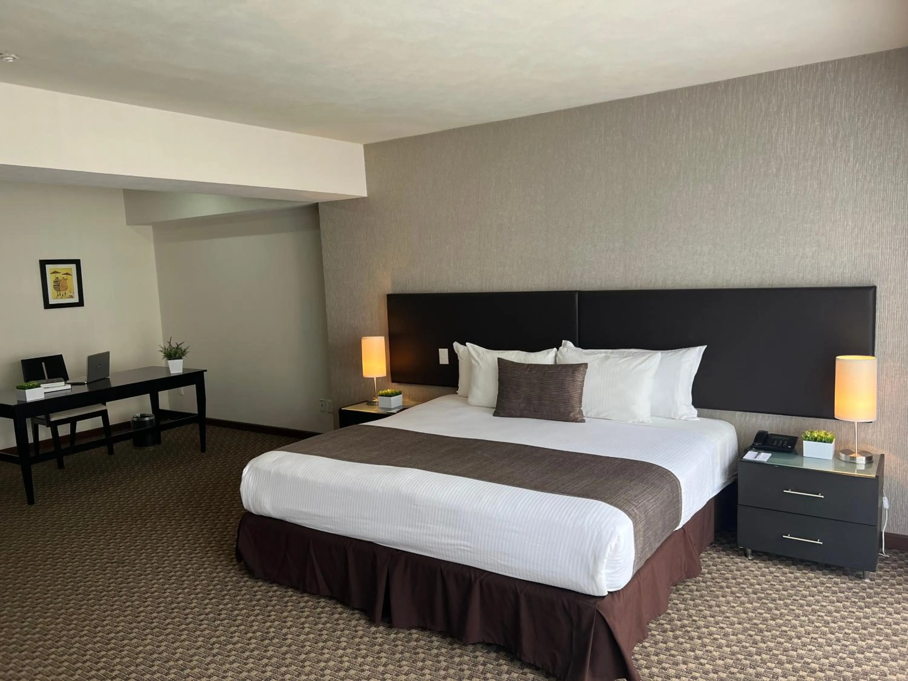 Bed in St Isidro Suites Corporate Housing SPA & Wellness Center