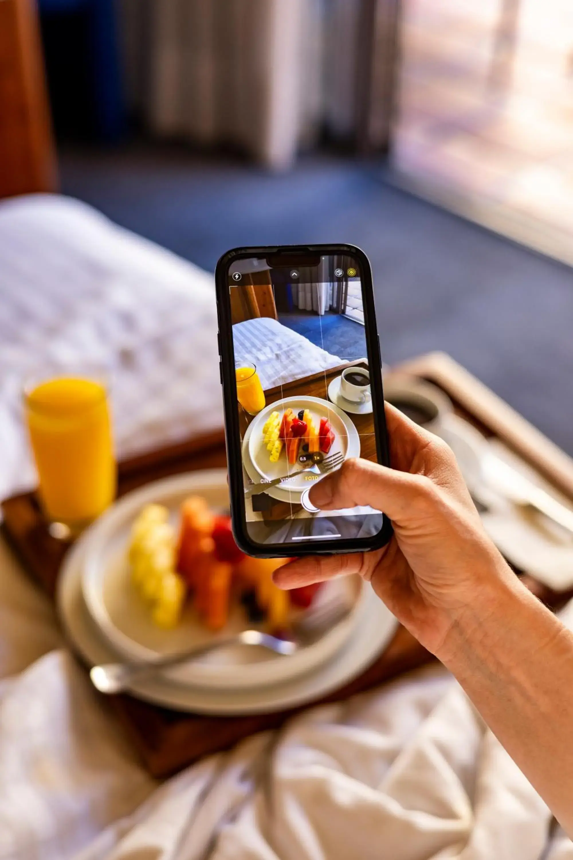 Superior Queen Room in Hotel Rancho San Diego Grand Spa Resort Superior Queen Room in Hotel Rancho San Diego Grand Spa Resort