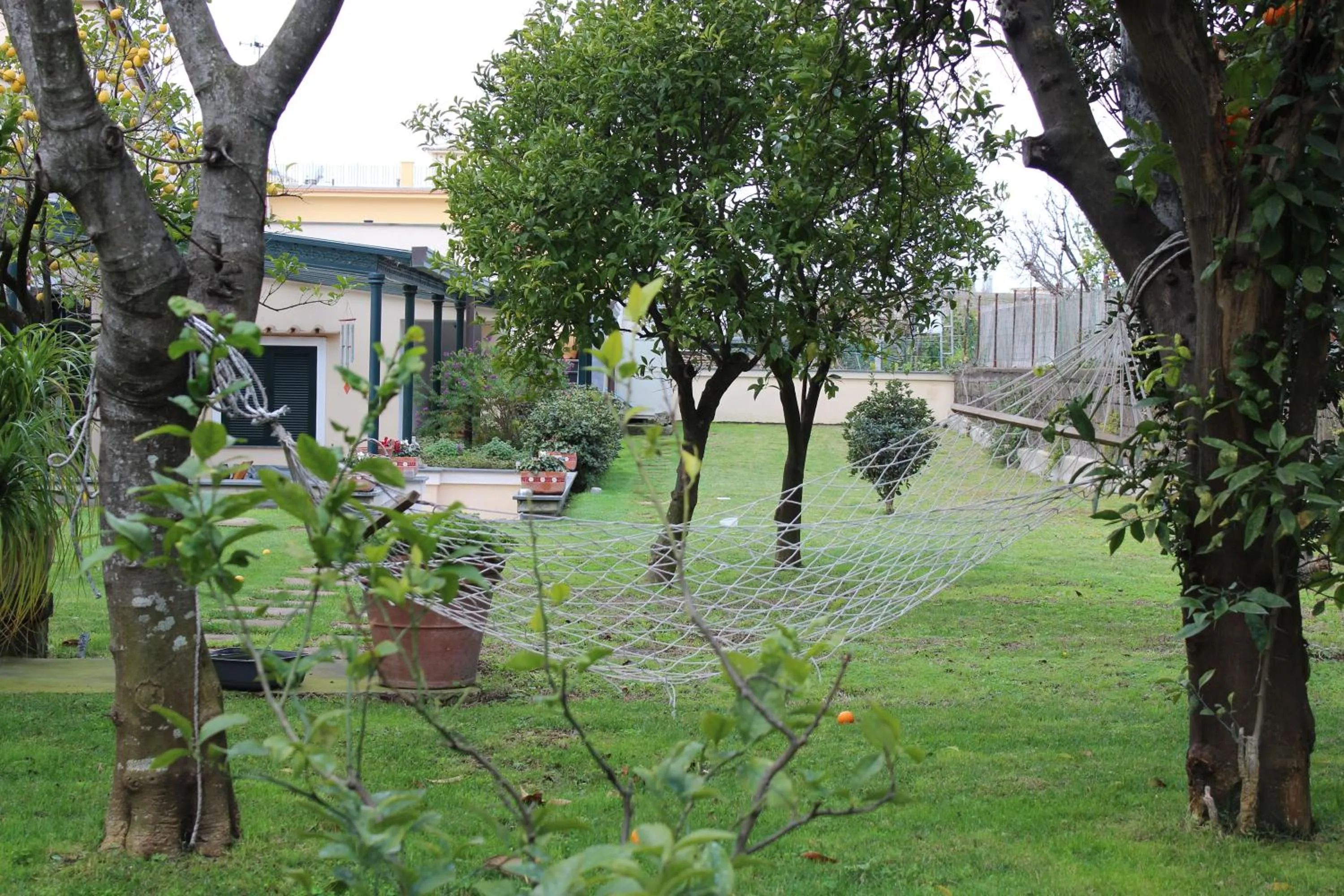 Garden view in Domus Liberty