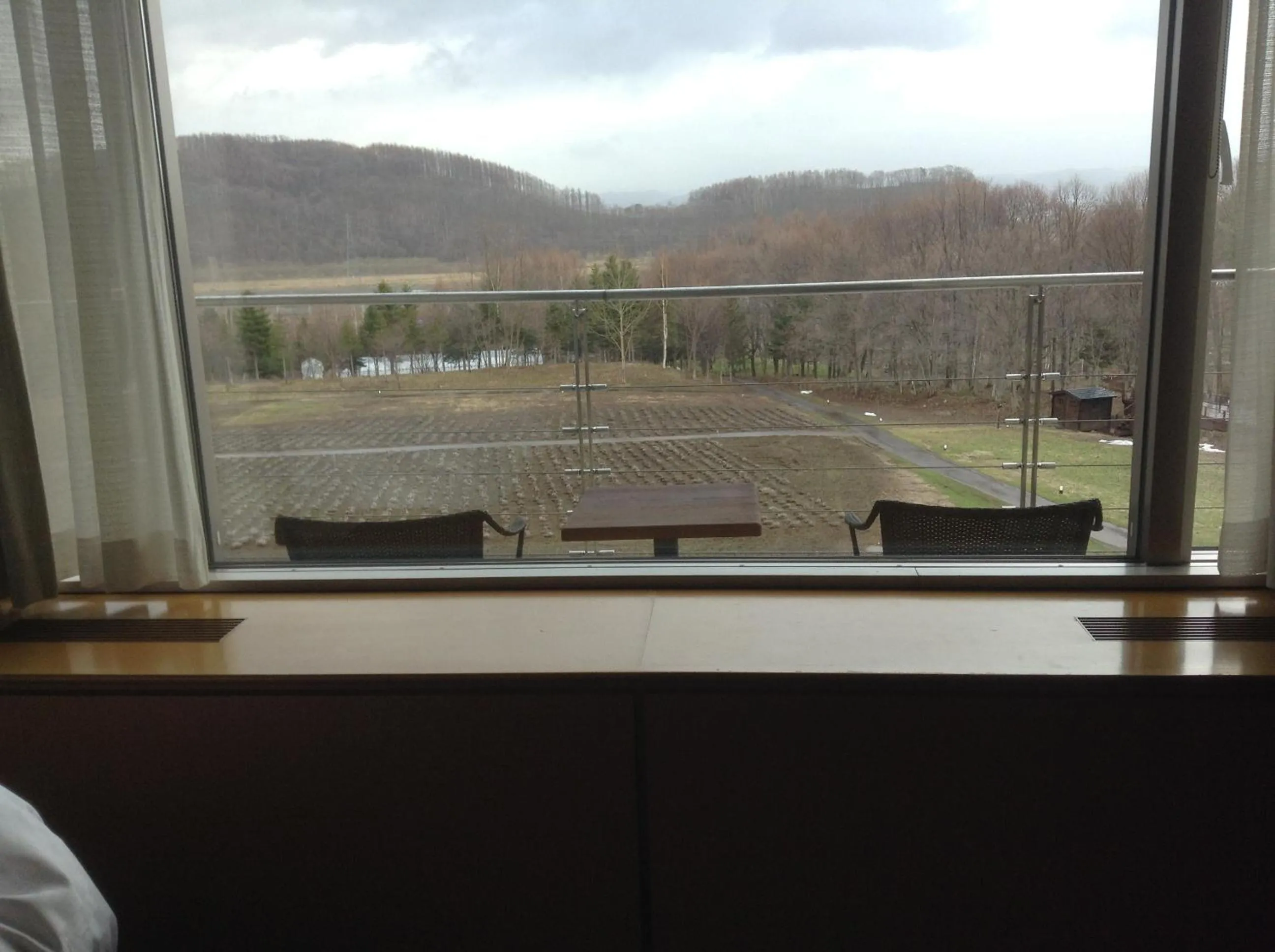 View (from property/room) in Furano Hotel