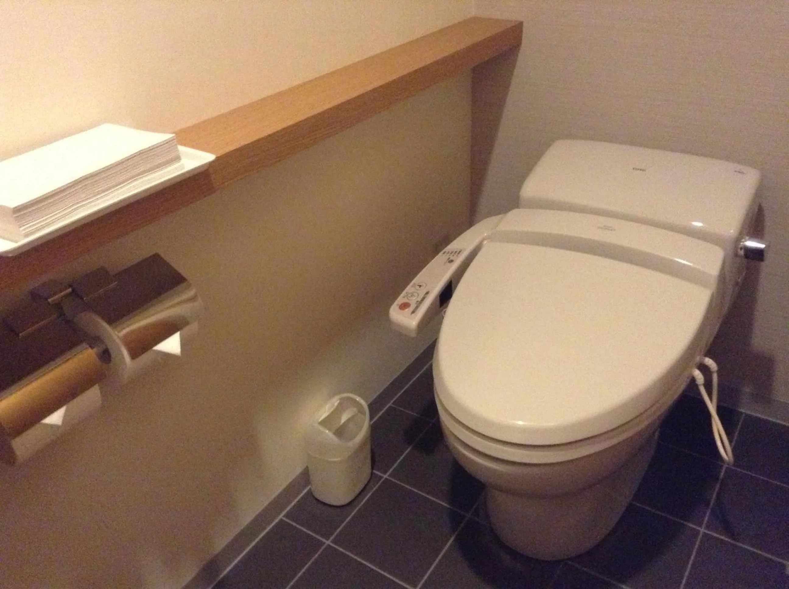 Toilet in Furano Hotel