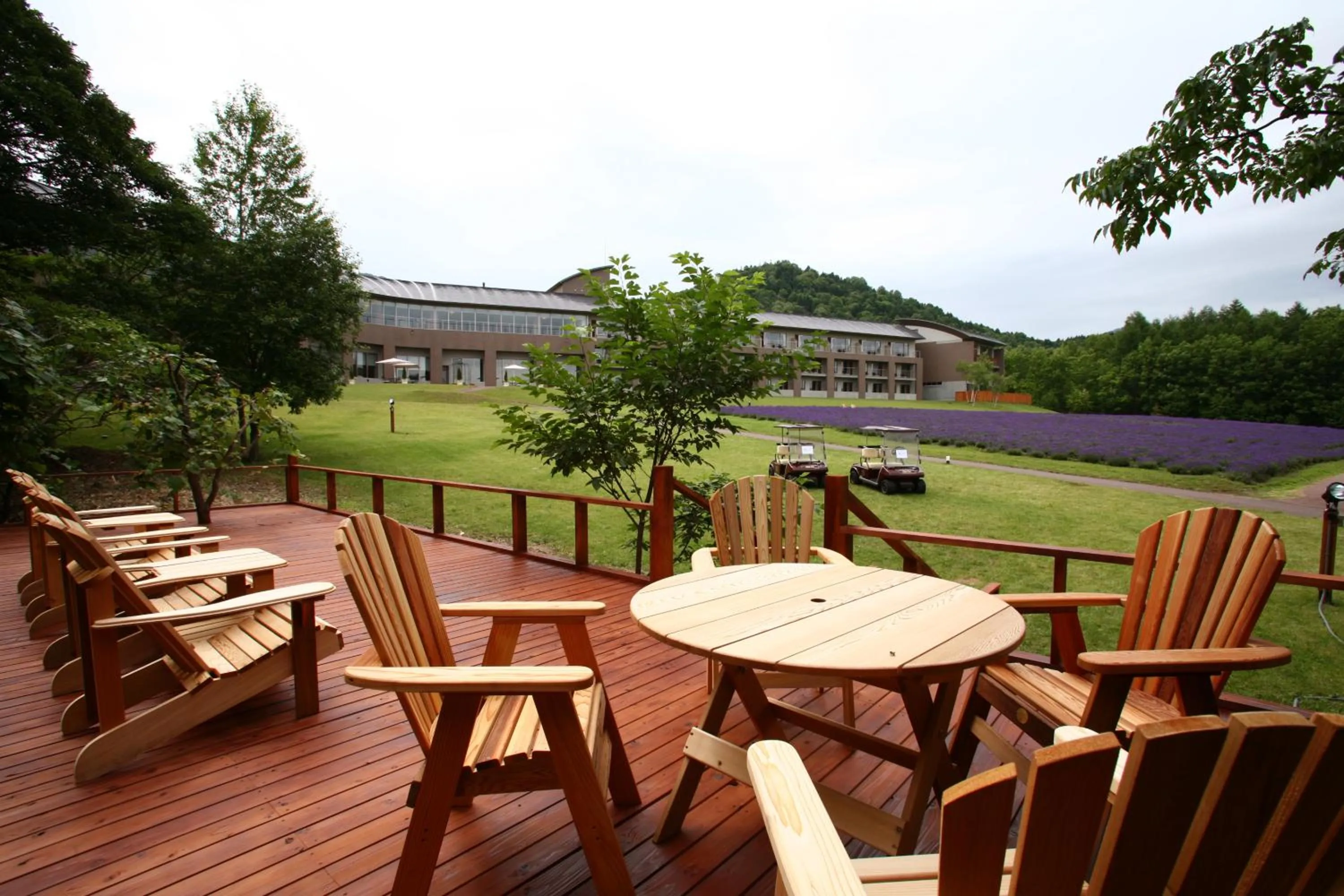 Balcony/Terrace in Furano Hotel