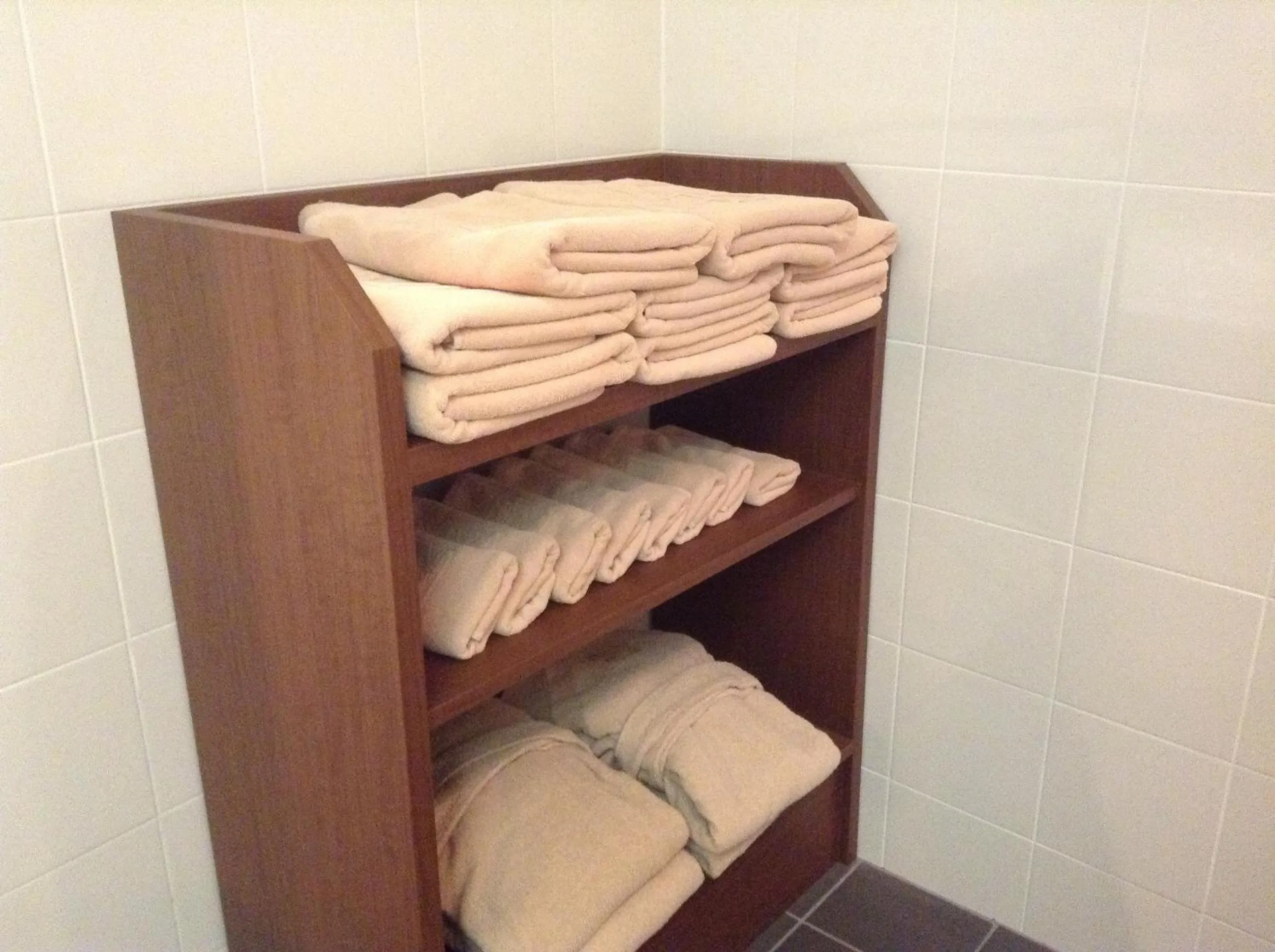 Spa and wellness centre/facilities in Furano Hotel