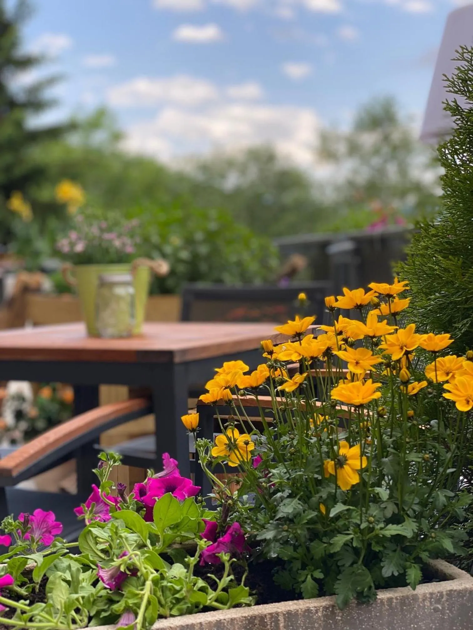 Balcony/Terrace in Hotel Residenz Hochalm - SKI IN -SKI OUT
