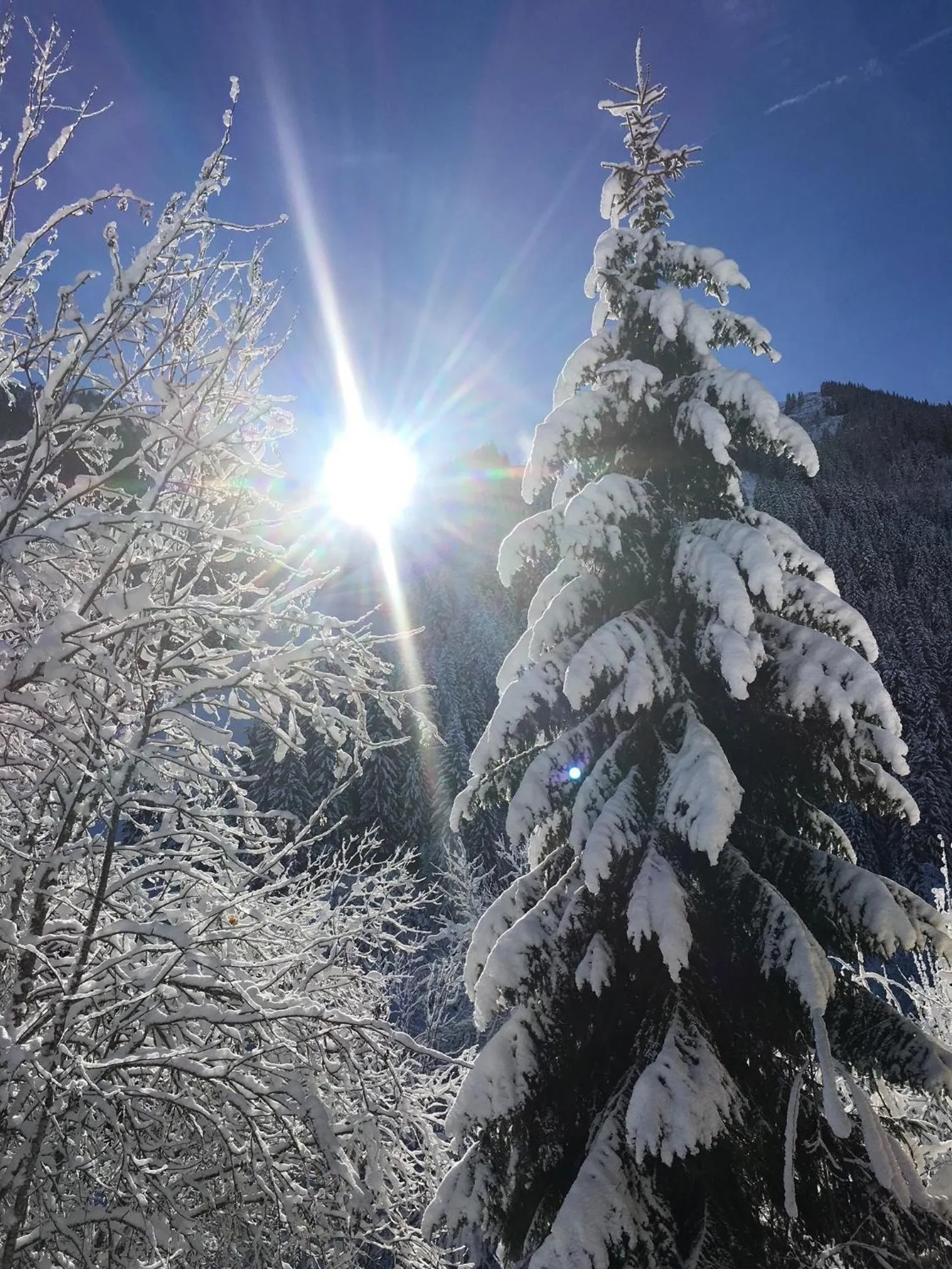 Hotel Residenz Hochalm - SKI IN -SKI OUT