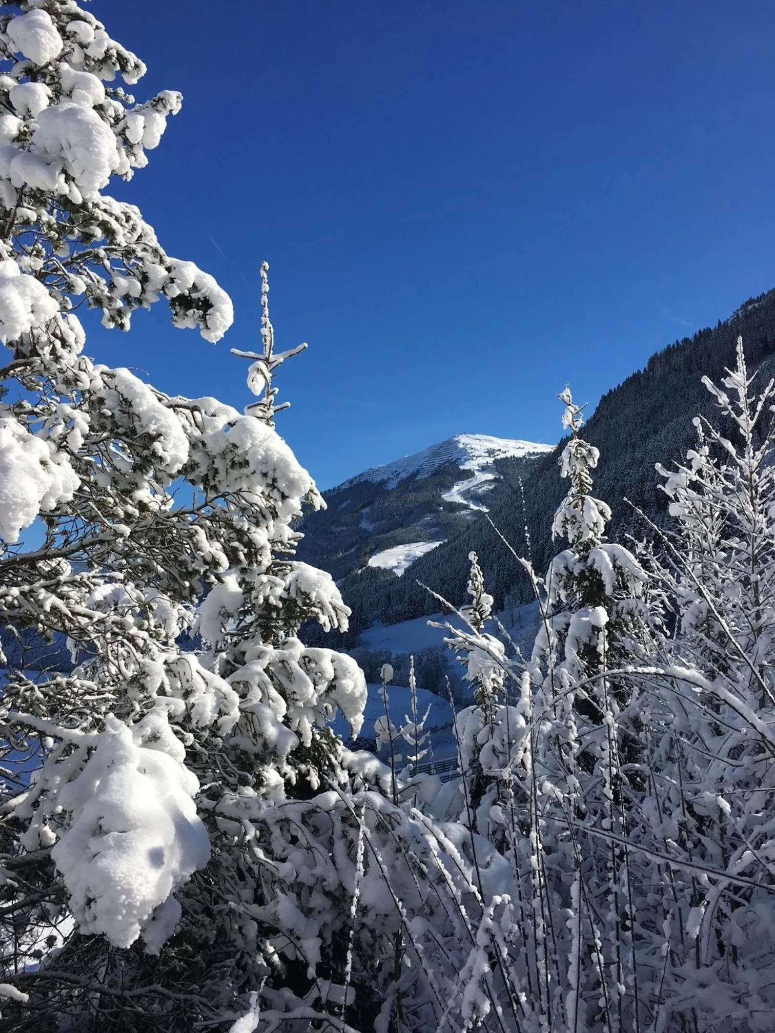 Hotel Residenz Hochalm - SKI IN -SKI OUT