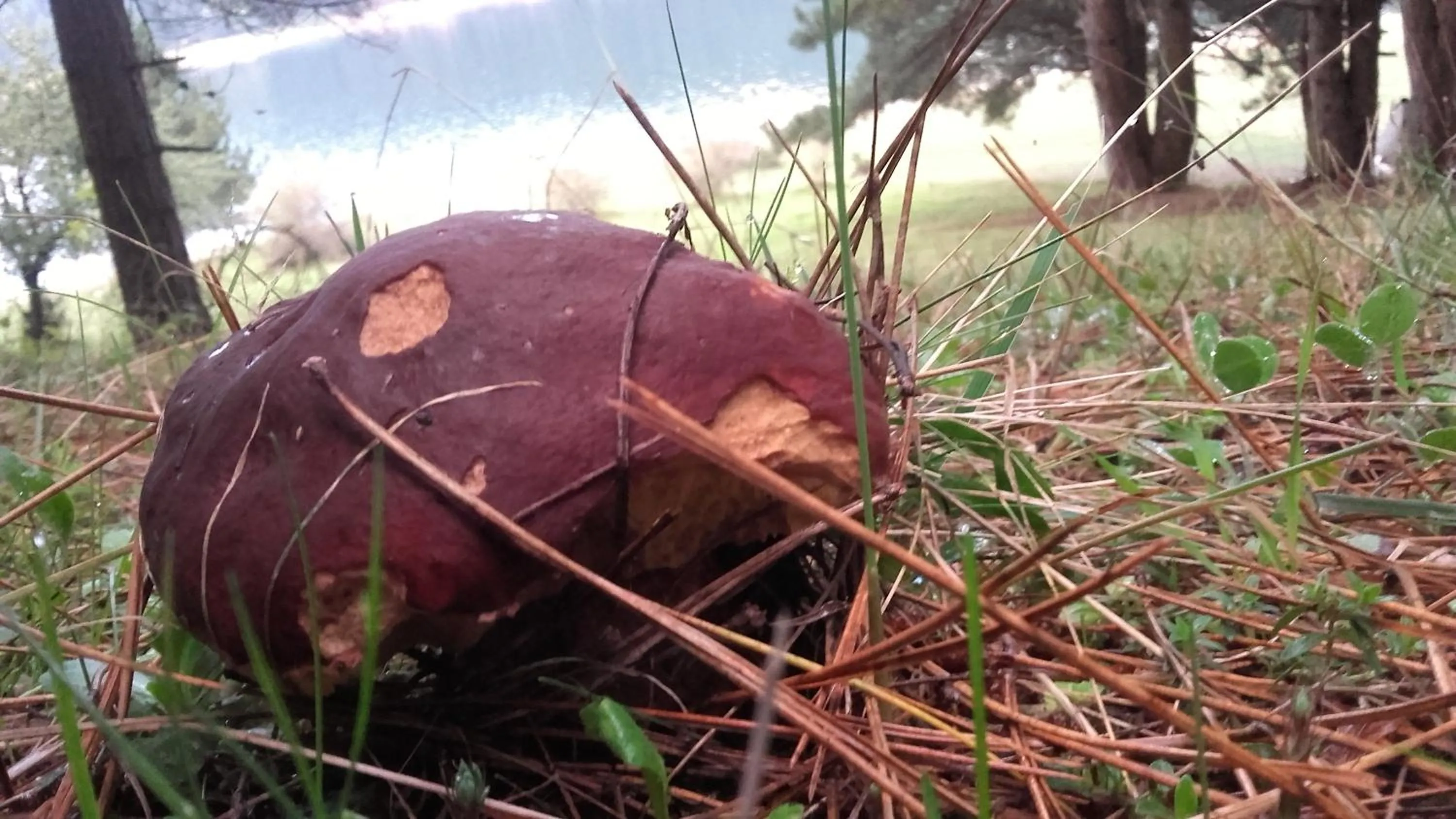 Other in Hotel del Lago Ampollino