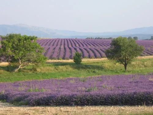 Natural landscape in Ferme Para Lou
