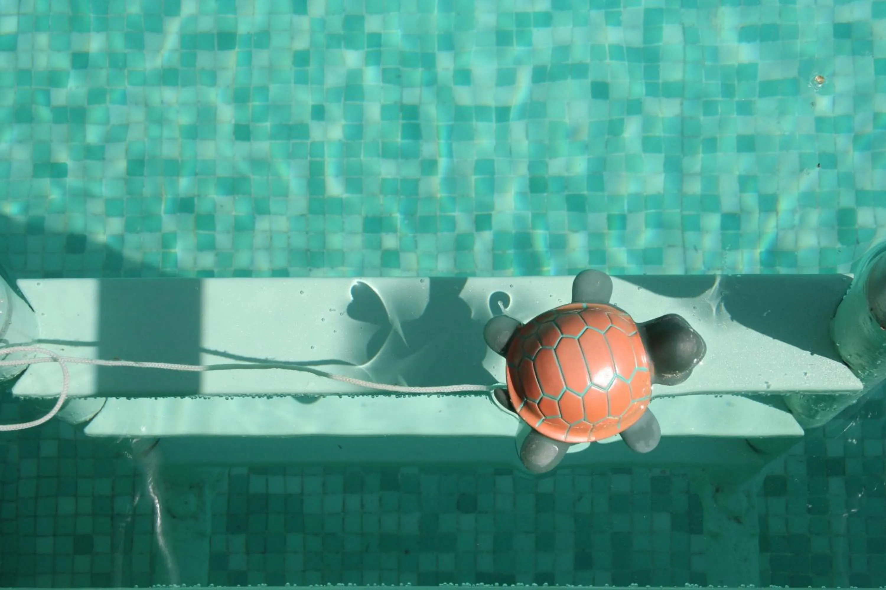 Swimming pool in Albergo Garnì Villa Moretti