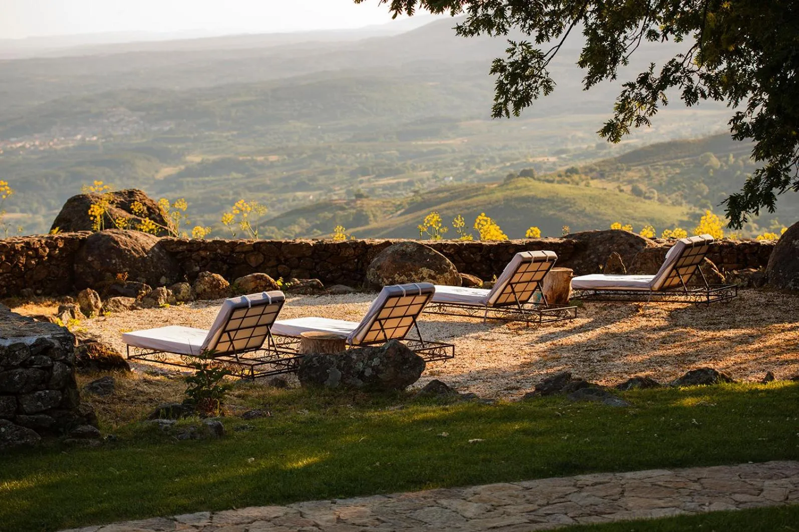 Garden in Hotel Nabia