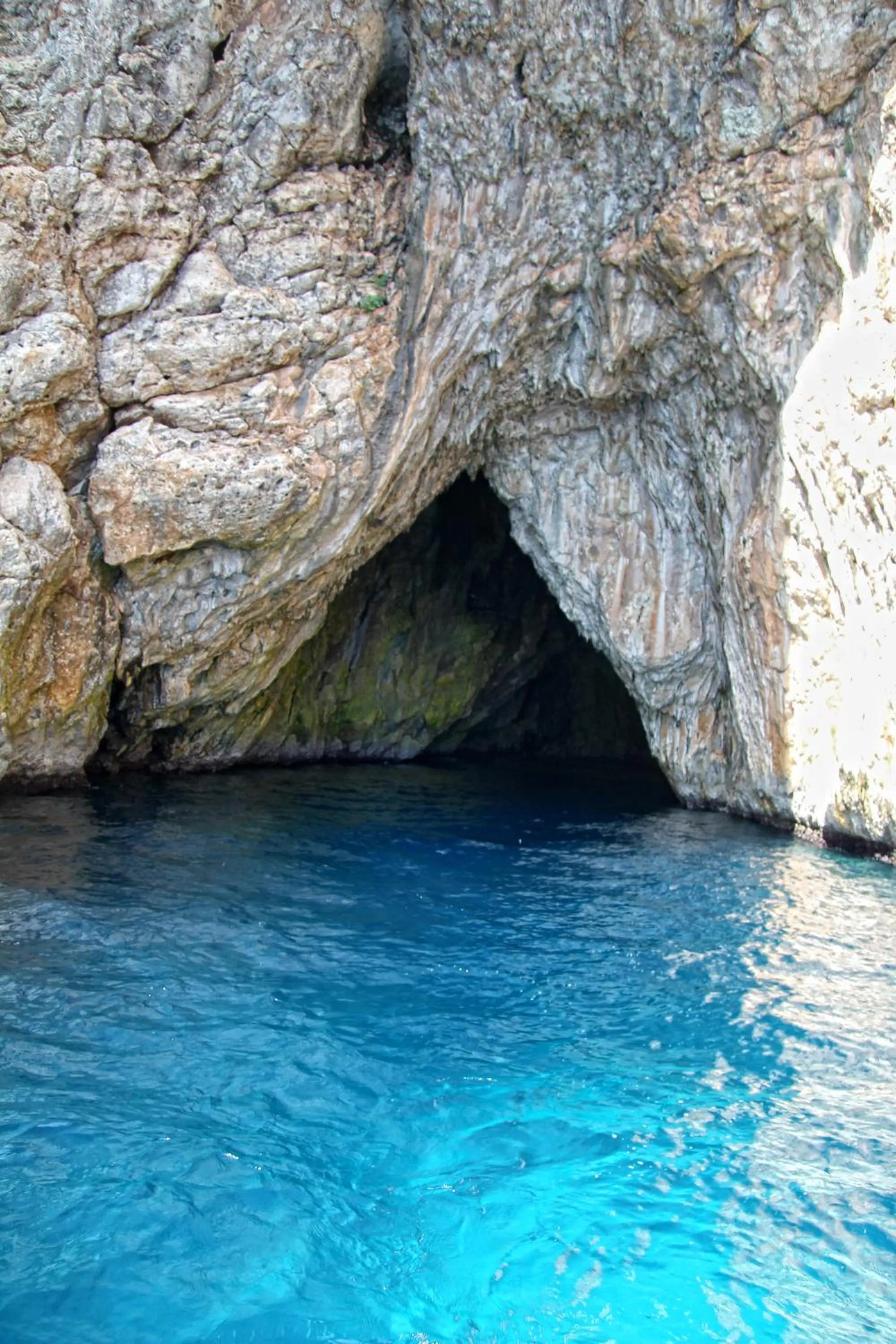 Natural landscape in Hotel Degli Ulivi