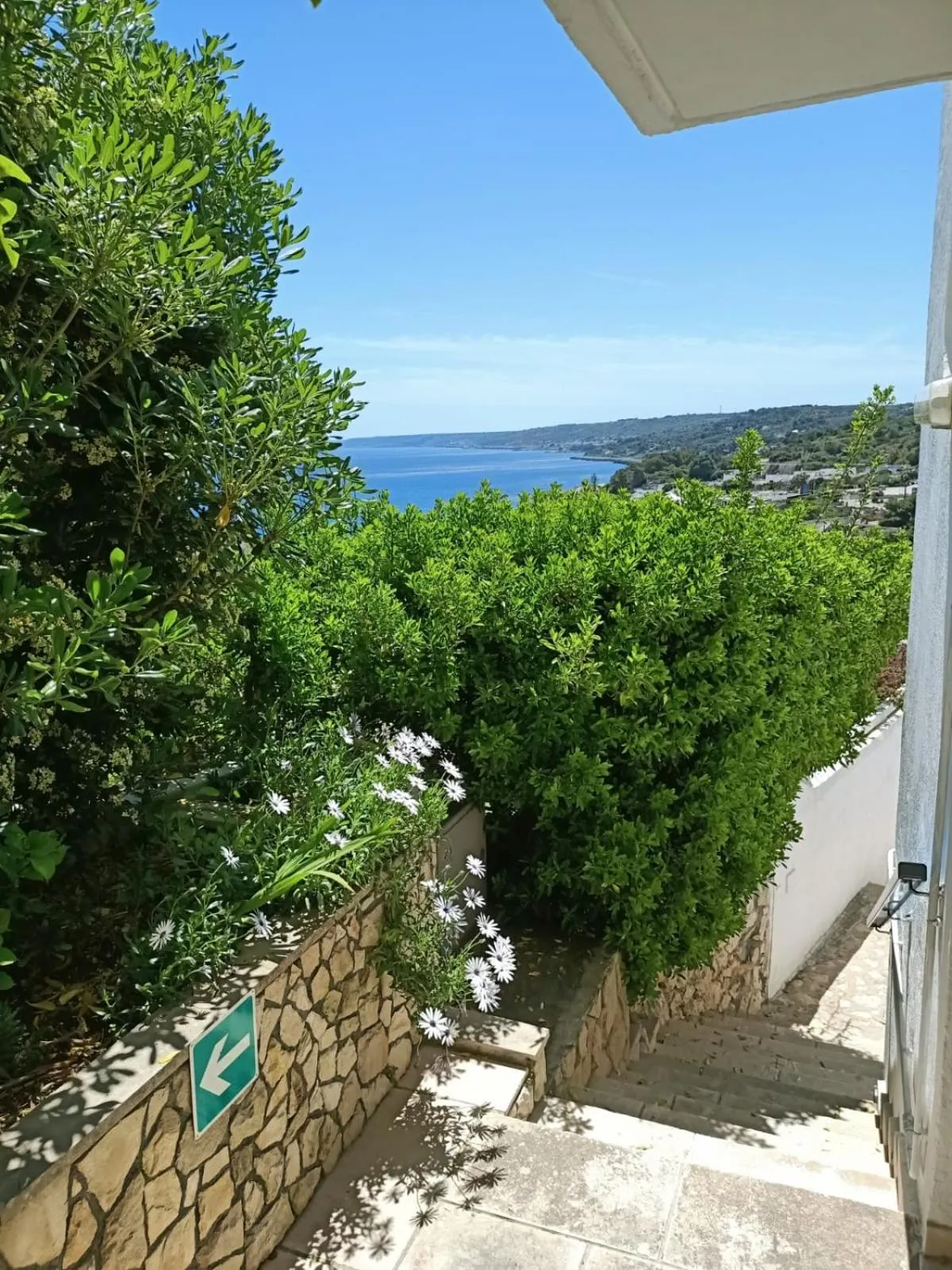 Property building in Hotel Degli Ulivi