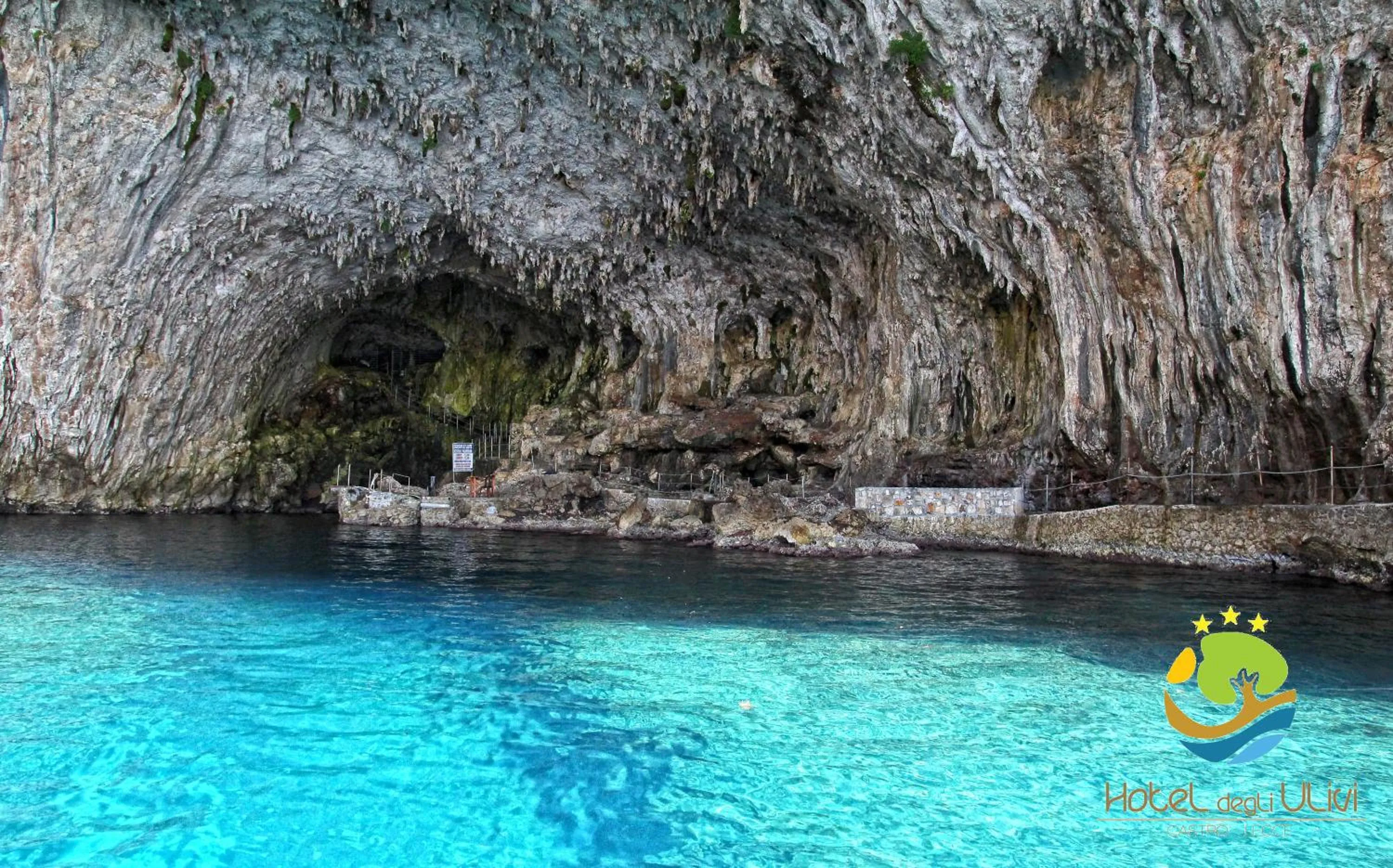 Natural landscape in Hotel Degli Ulivi