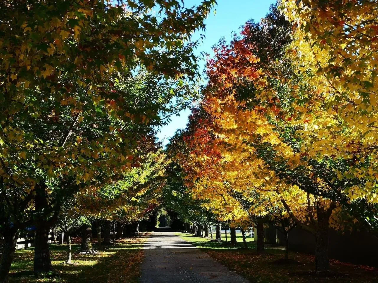 Garden view in Abel Tasman Haven