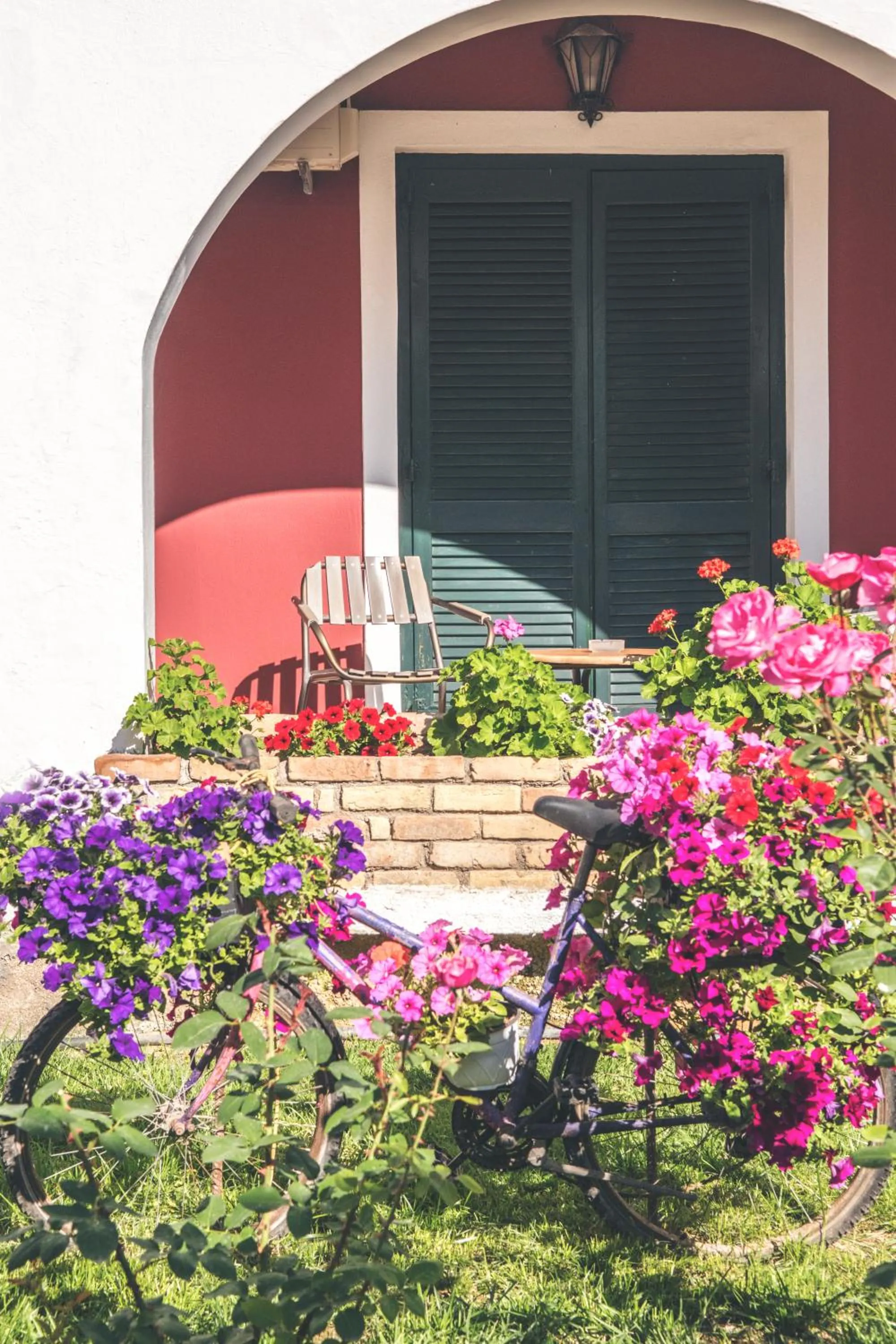 Garden in Iliada Beach Hotel