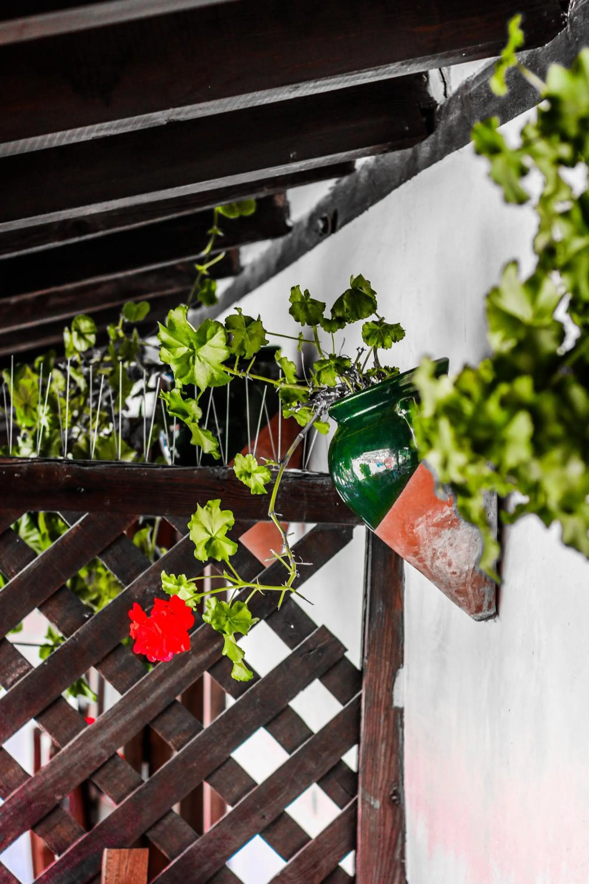 Garden in Hotel Rural Plaza Mayor Chinchon