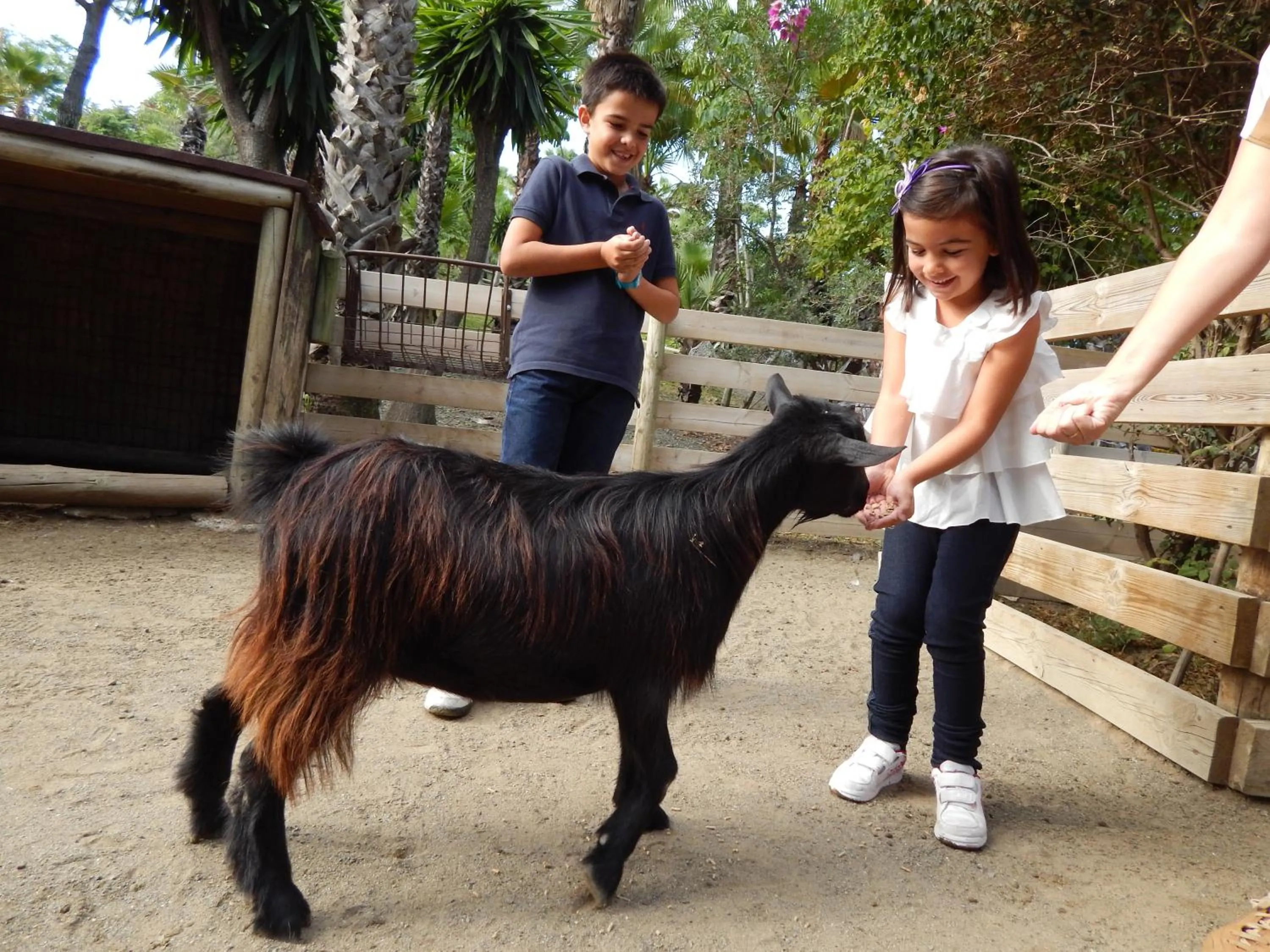 Day in Hotel Selwo Lodge - Animal Park Tickets Included