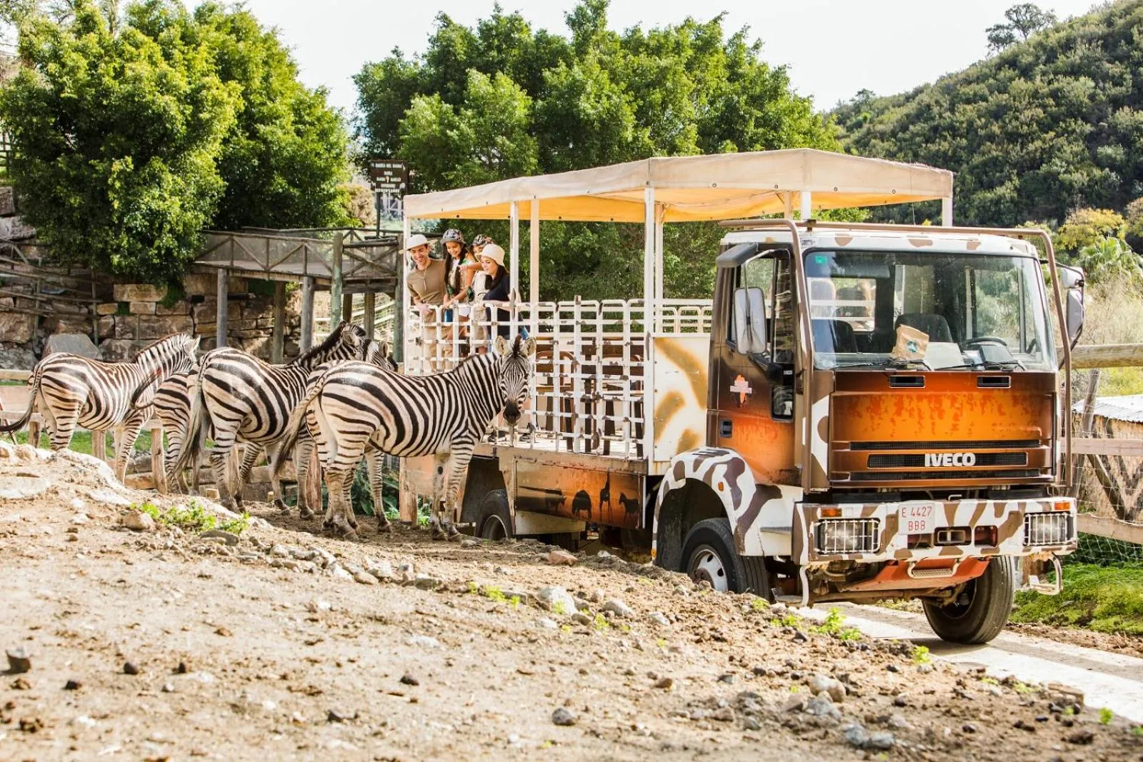 Activities in Hotel Selwo Lodge - Animal Park Tickets Included