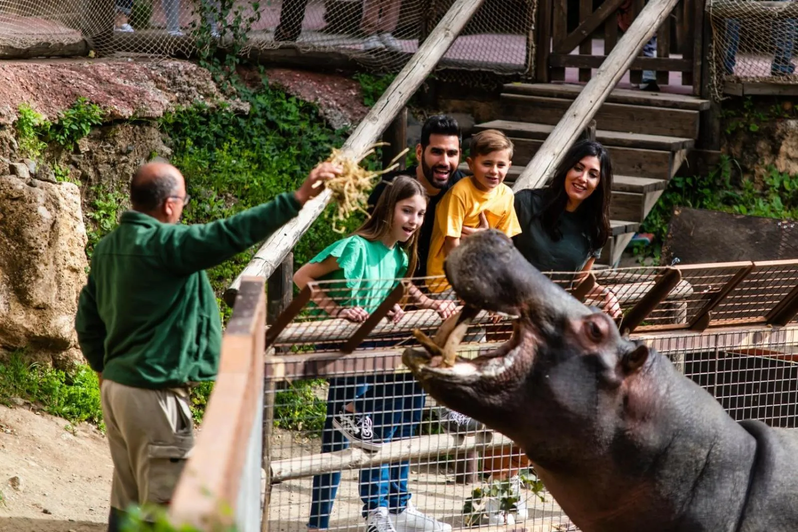 Activities in Hotel Selwo Lodge - Animal Park Tickets Included