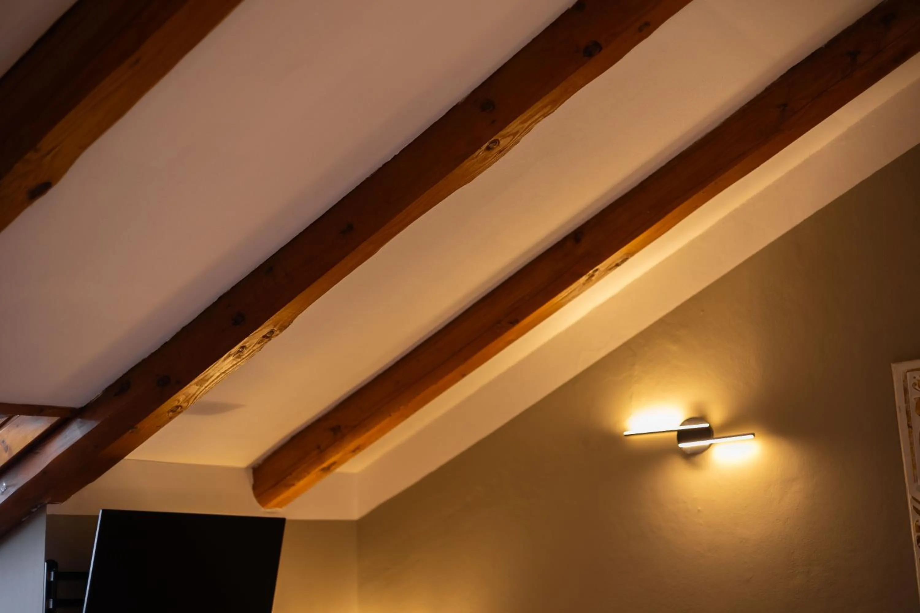 TV and multimedia in Hotel La Fertè