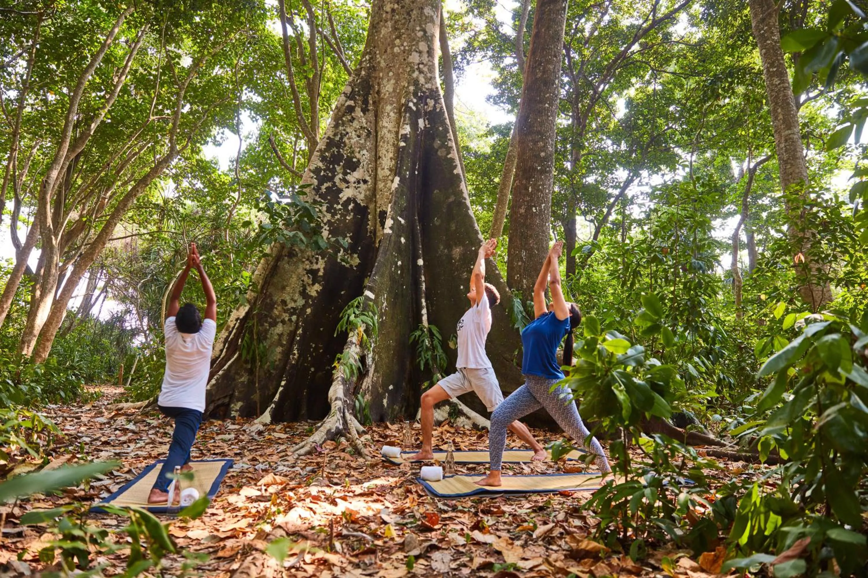 Natural landscape in Taj Exotica Resort & Spa, Andamans