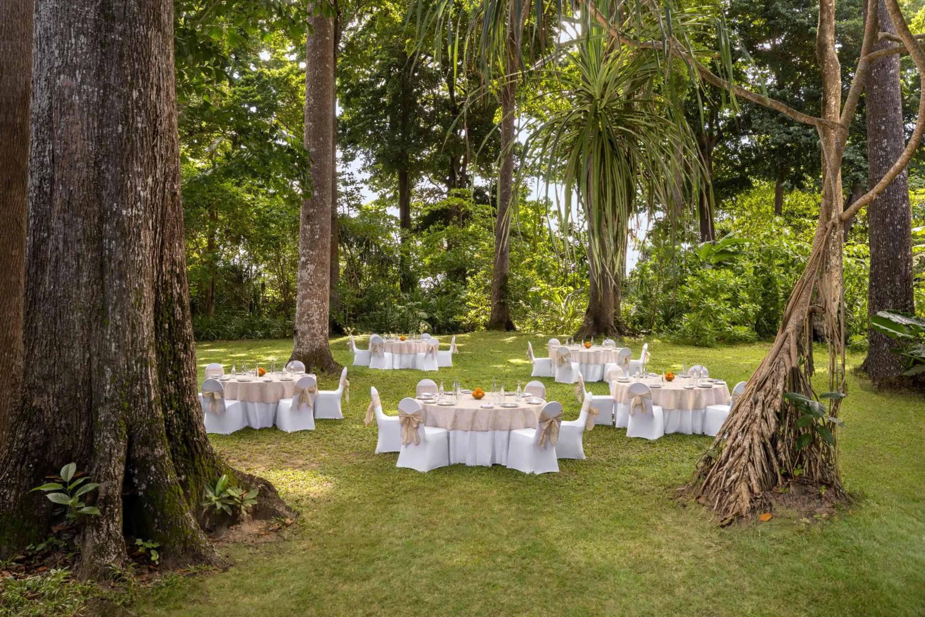 Natural landscape in Taj Exotica Resort & Spa, Andamans