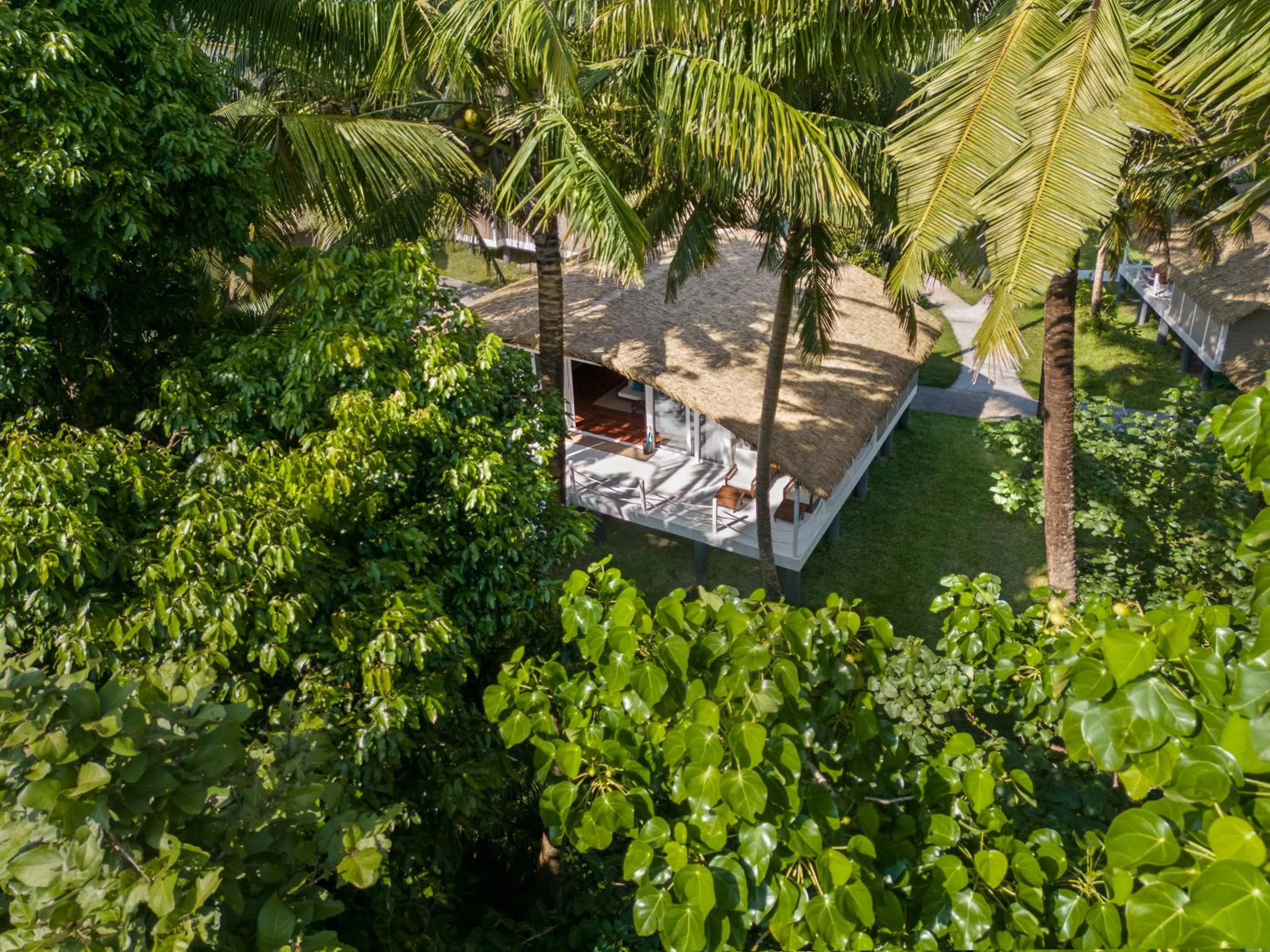Natural landscape in Taj Exotica Resort & Spa, Andamans