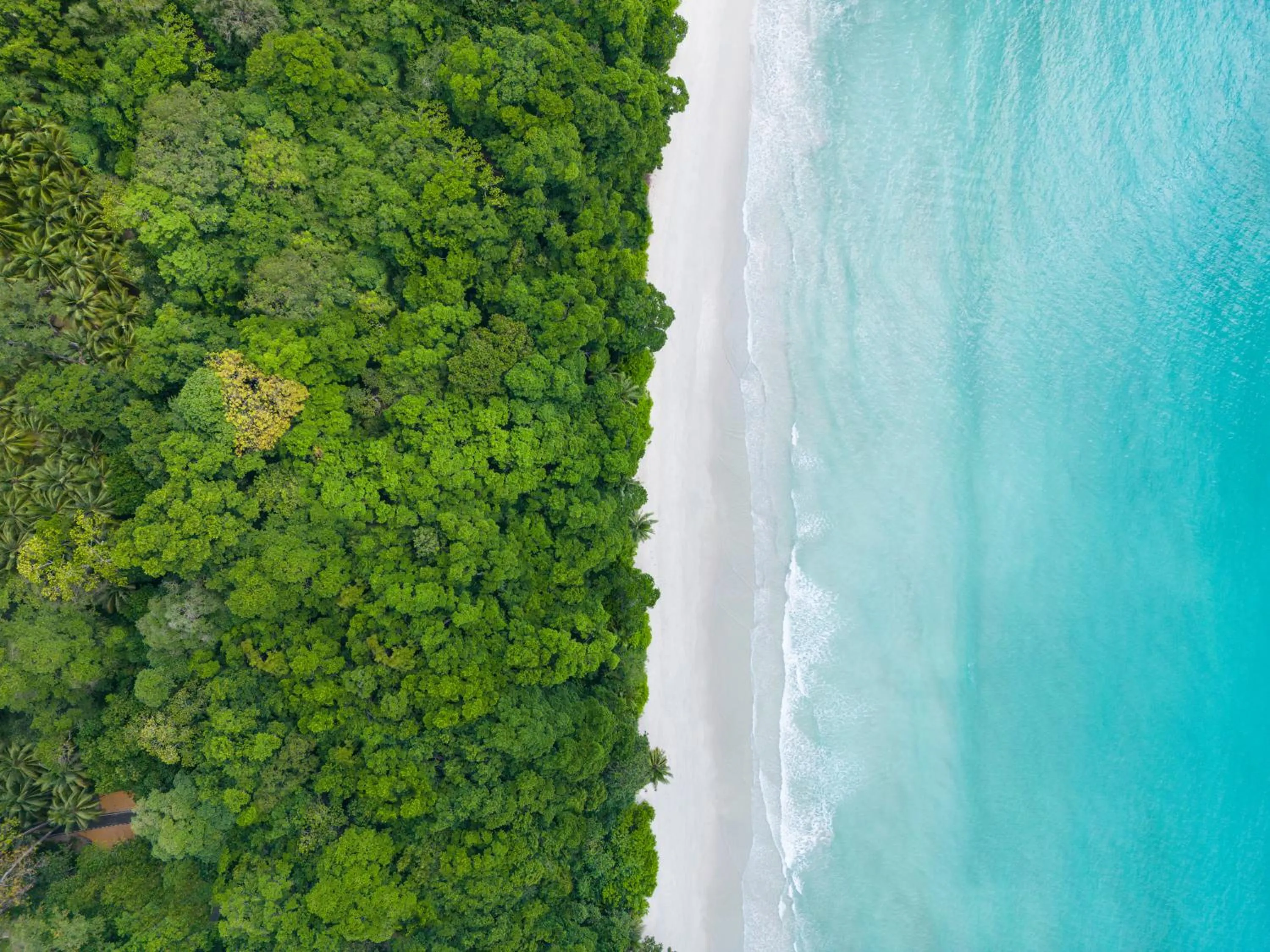 Natural landscape in Taj Exotica Resort & Spa, Andamans