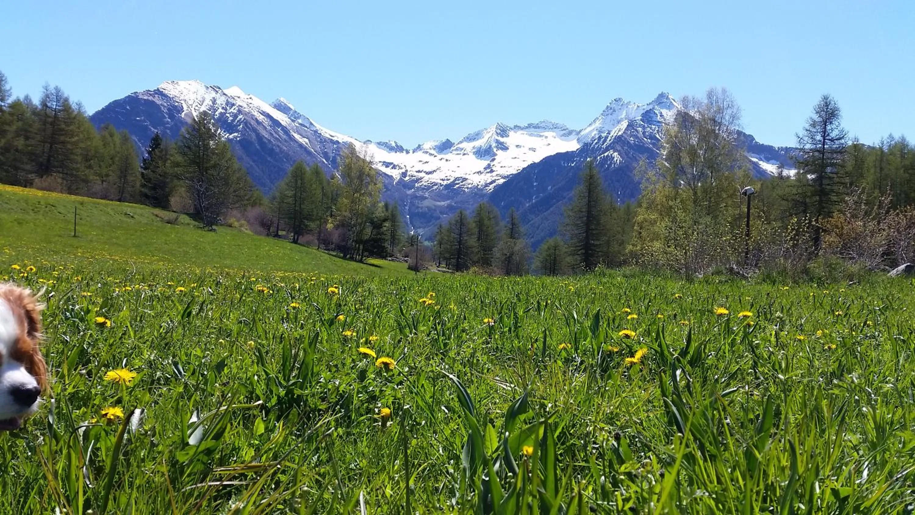 Natural landscape in Eco Chalet Maison Dominique