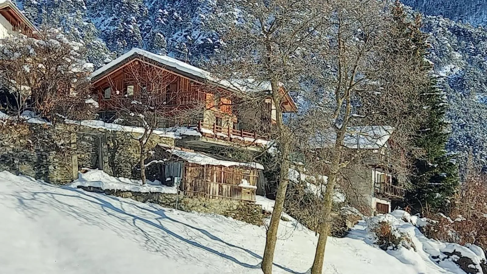 Property building in Eco Chalet Maison Dominique