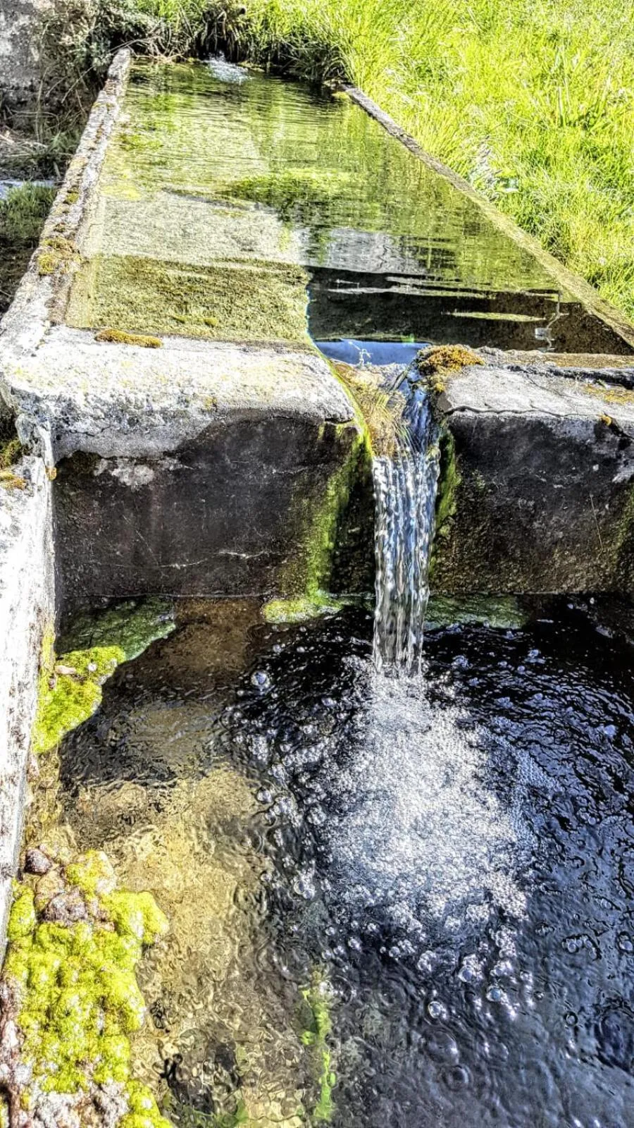 Natural landscape in Eco Chalet Maison Dominique