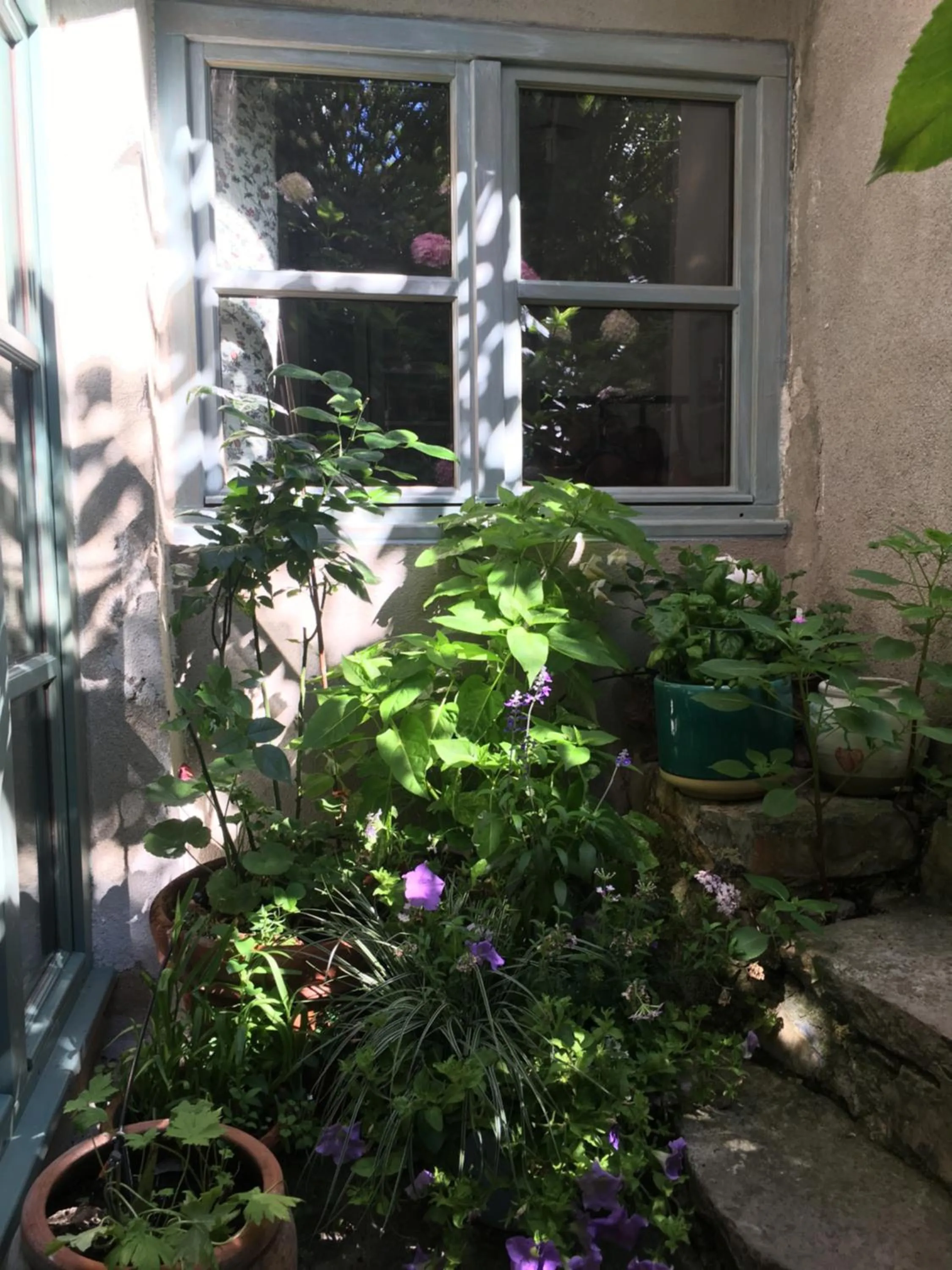 Patio in Les Asphodèles Amélie