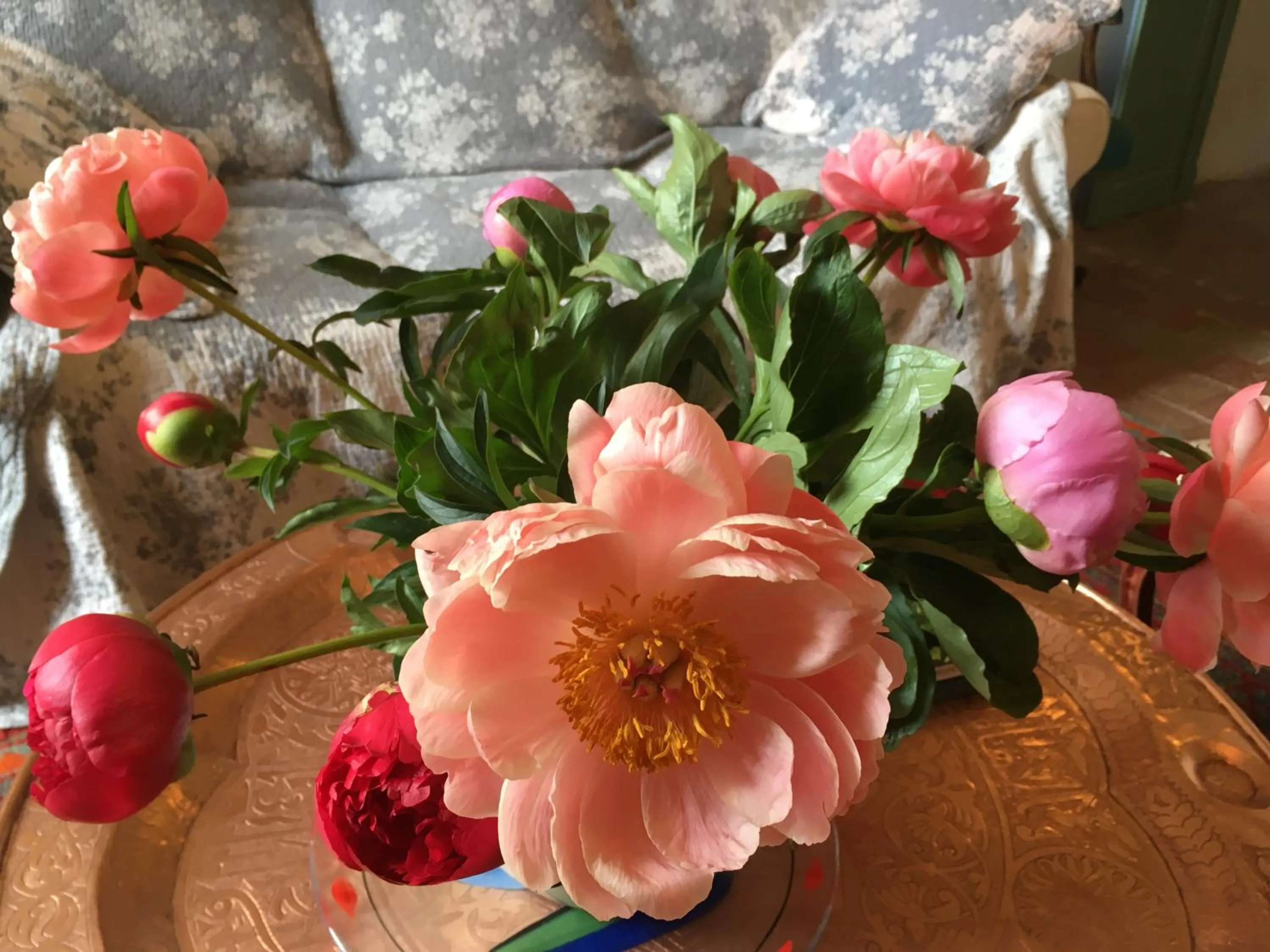 Decorative detail in Les Asphodèles Amélie