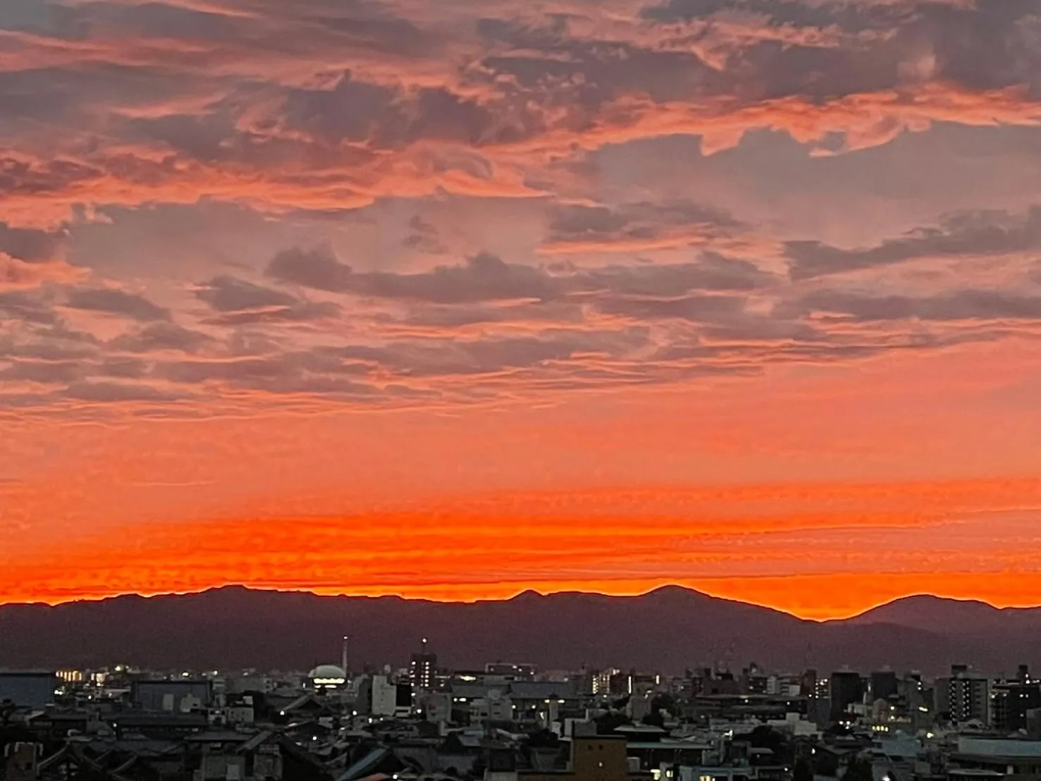 Saint martin (Adult Only)