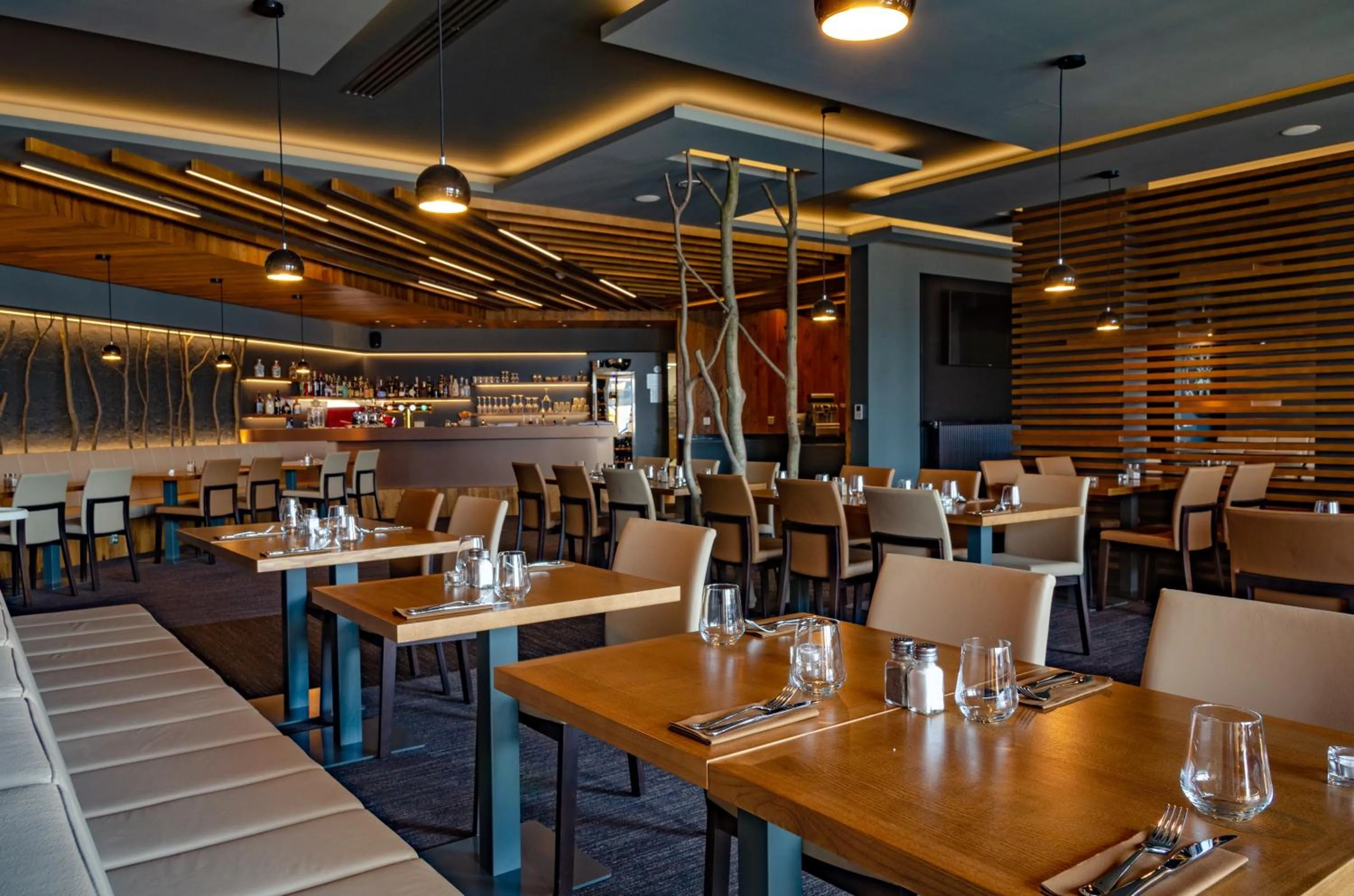 Restaurant/places to eat in Hotel D1