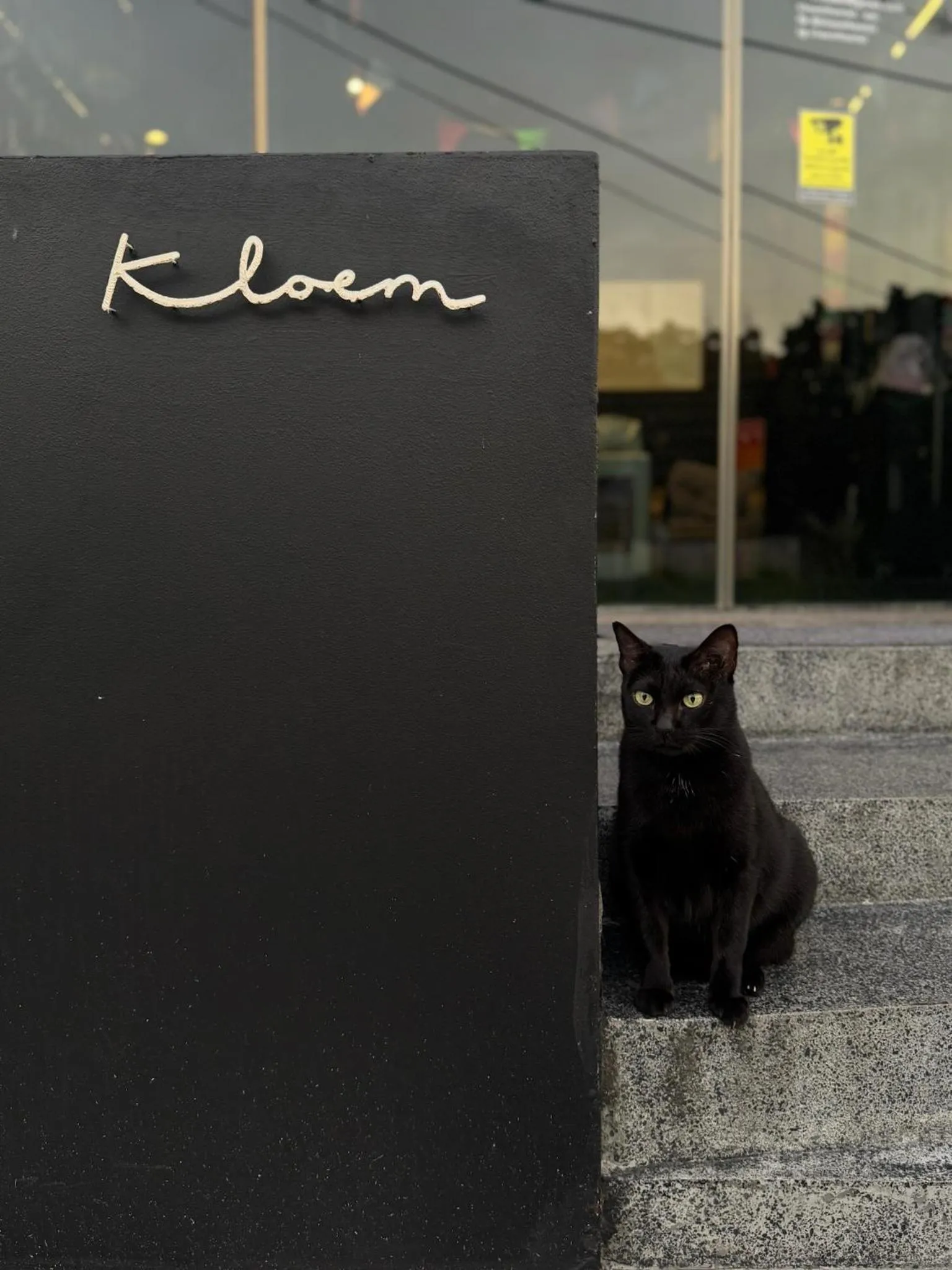 Lobby or reception in Kloem Hostel