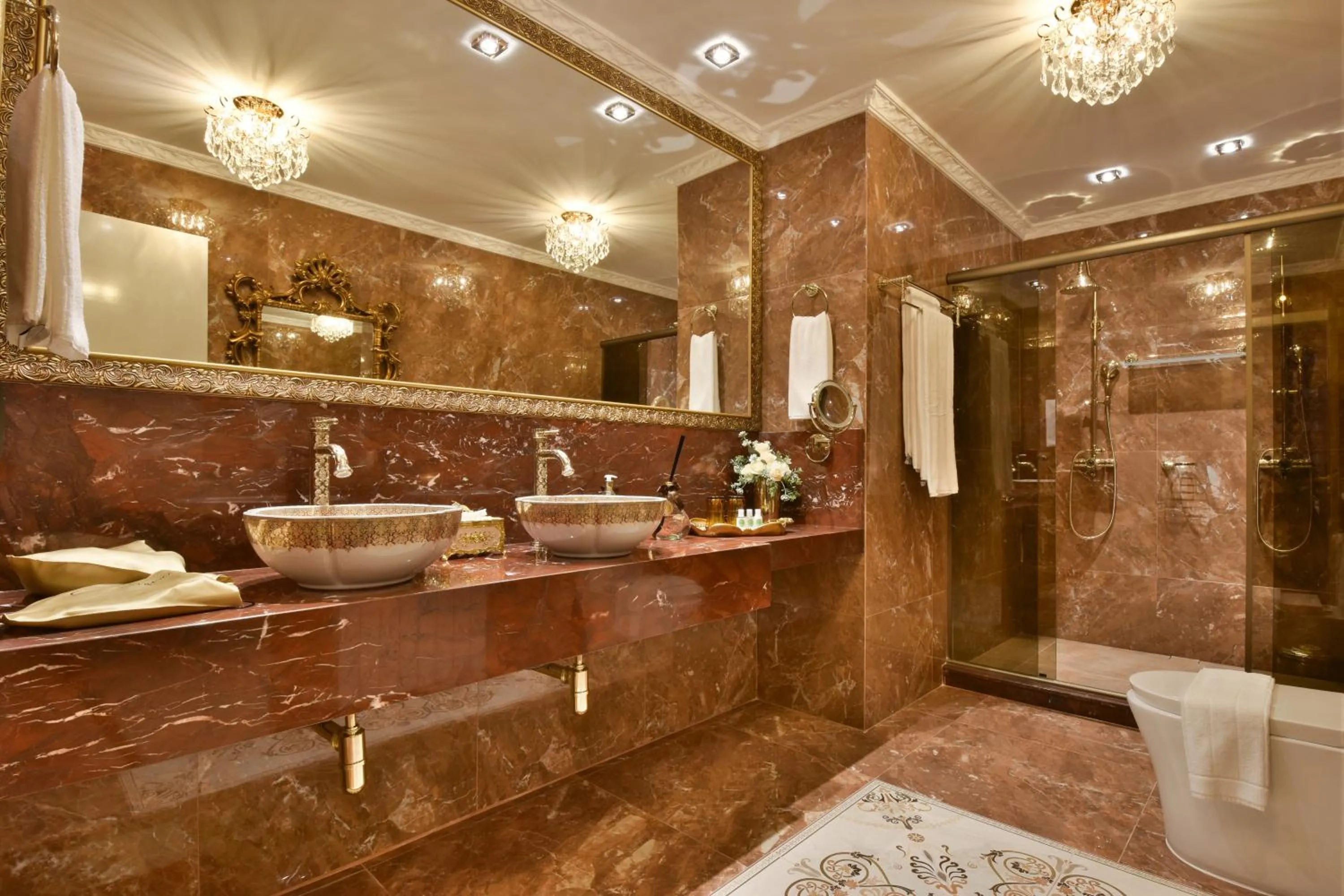 Shower in Hotel Colline de France