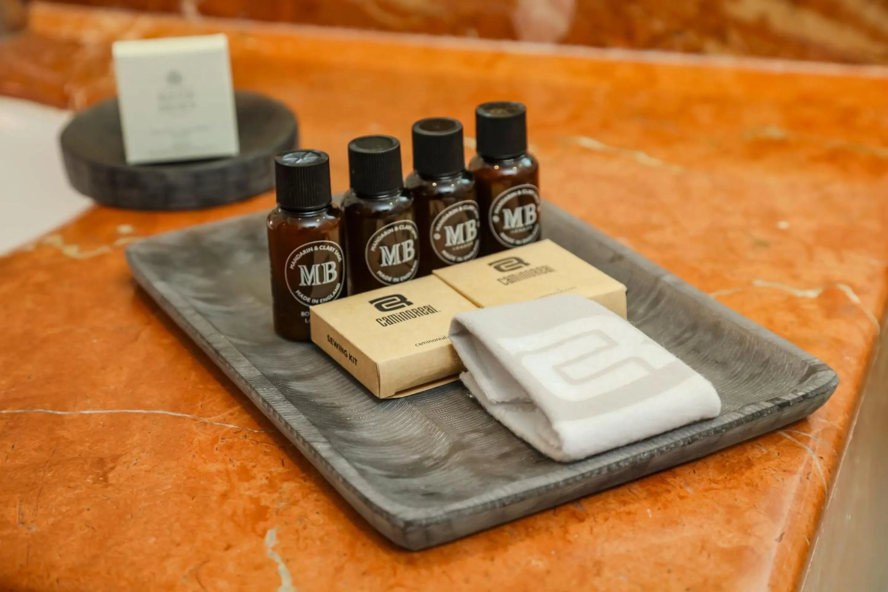 Logo/Certificate/Sign in Camino Real Veracruz